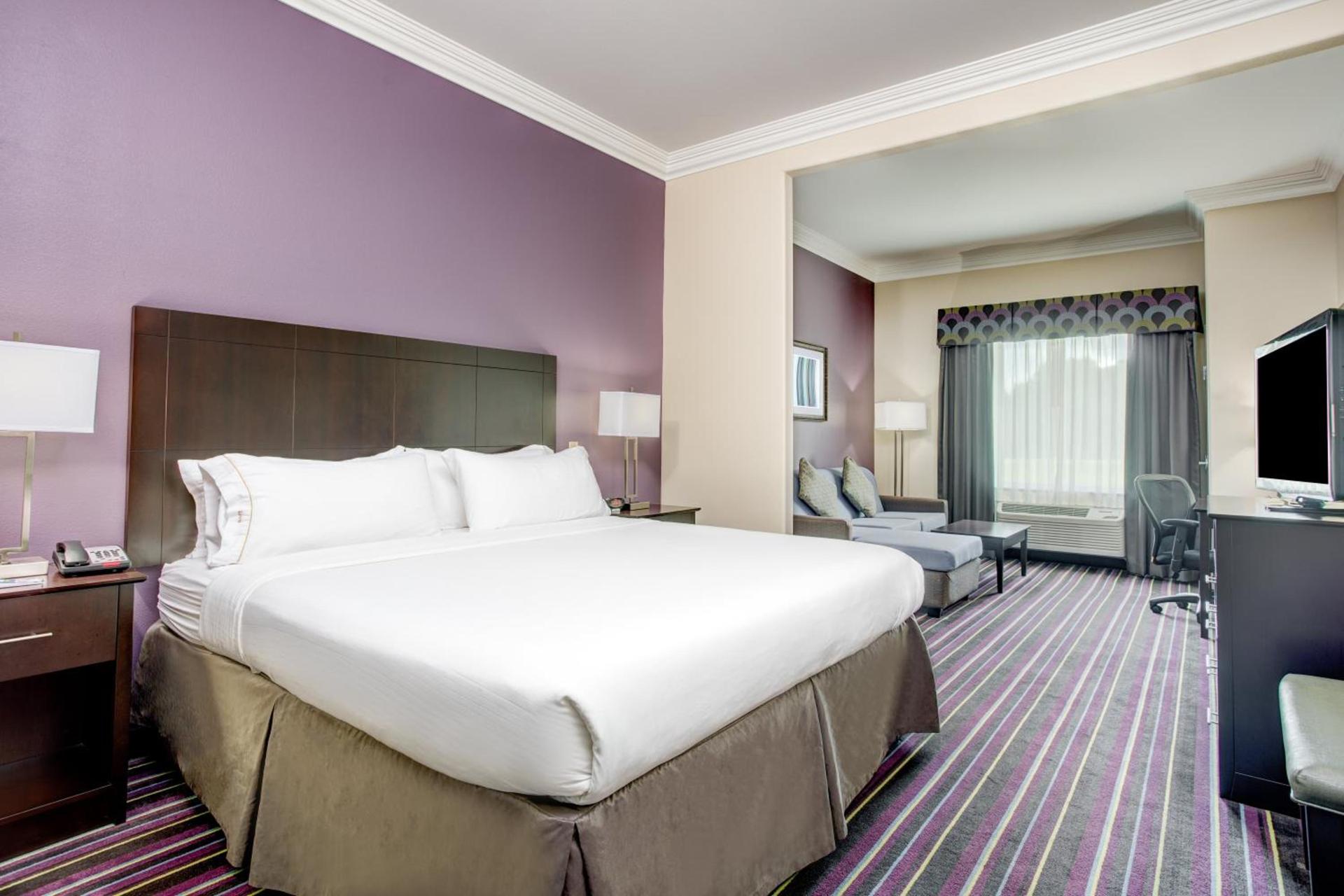 Holiday Inn Express & Suites Raceland - Highway 90 by IHG photo 28