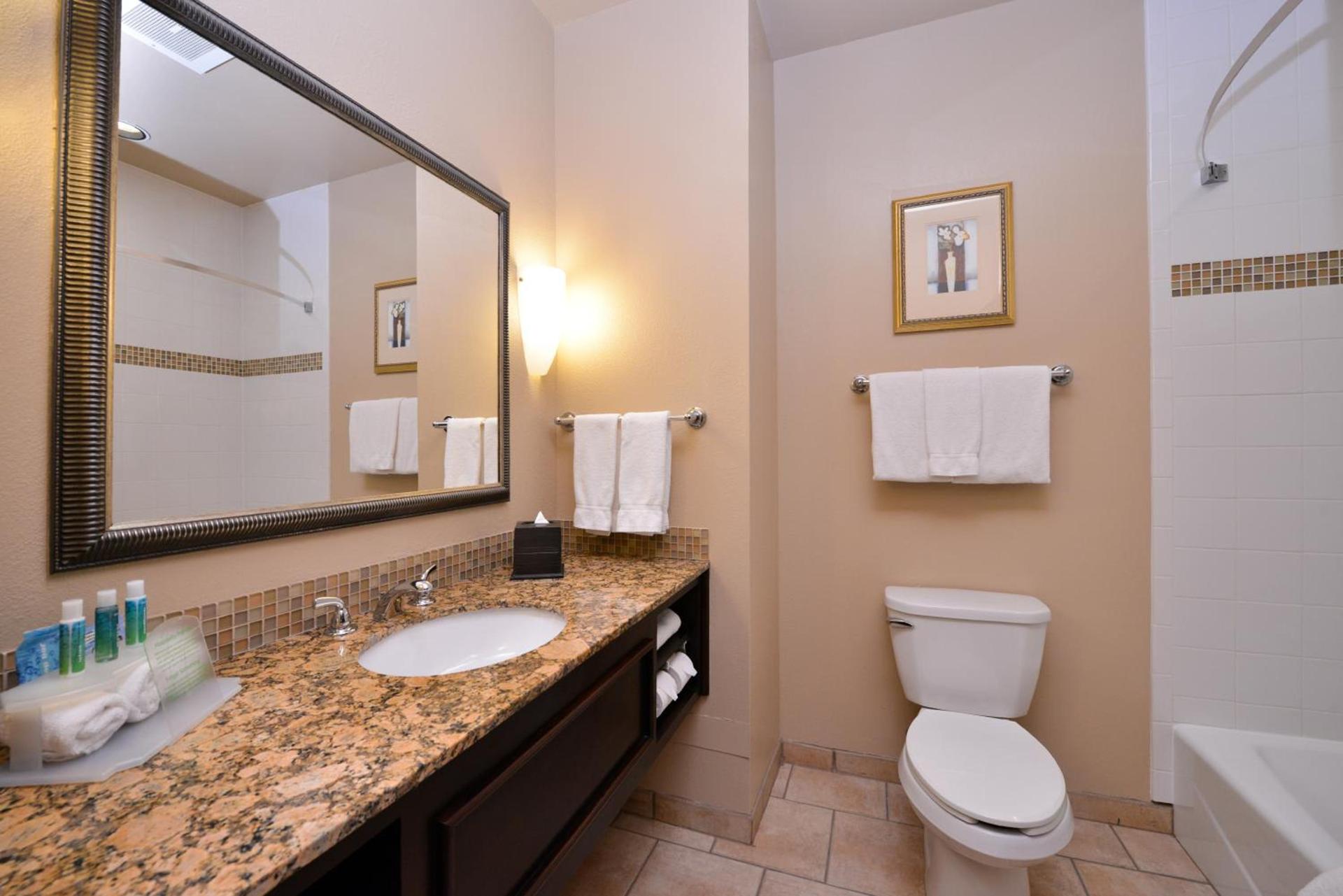 Holiday Inn Express & Suites Wichita Falls by IHG photo 2