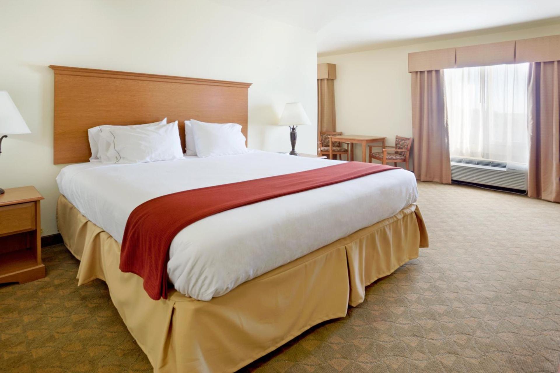 Holiday Inn Express Hotel & Suites Zapata by IHG photo 16