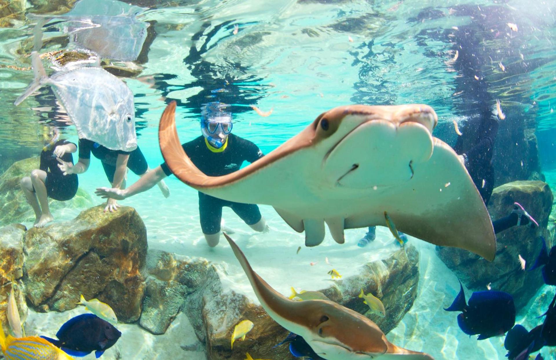 Staybridge Suites Orlando at SeaWorld by IHG - Free Breakfast & Shuttle to SeaWorld Parks photo 12