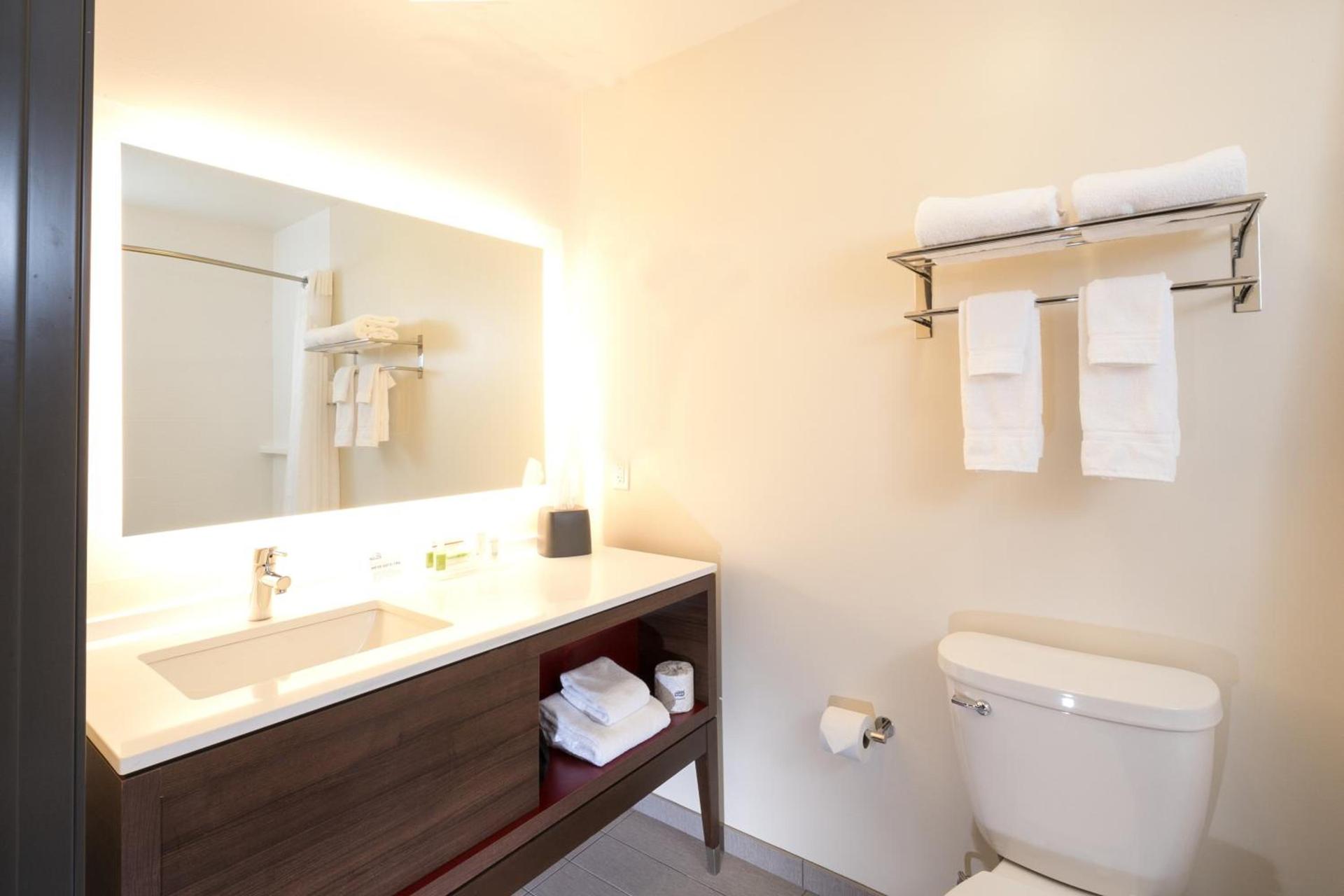 Holiday Inn & Suites Kalamazoo West photo 13