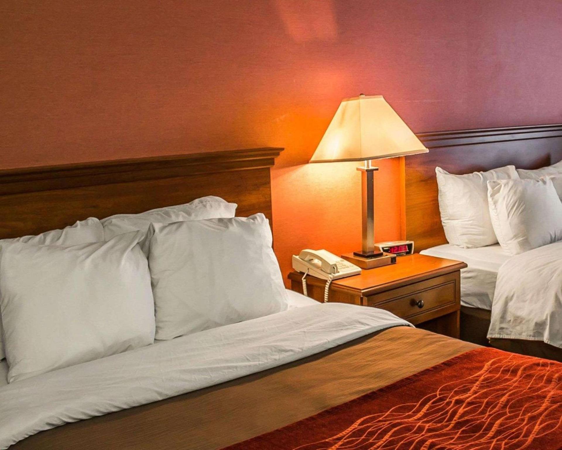 Quality Inn East Liverpool - Calcutta photo 20