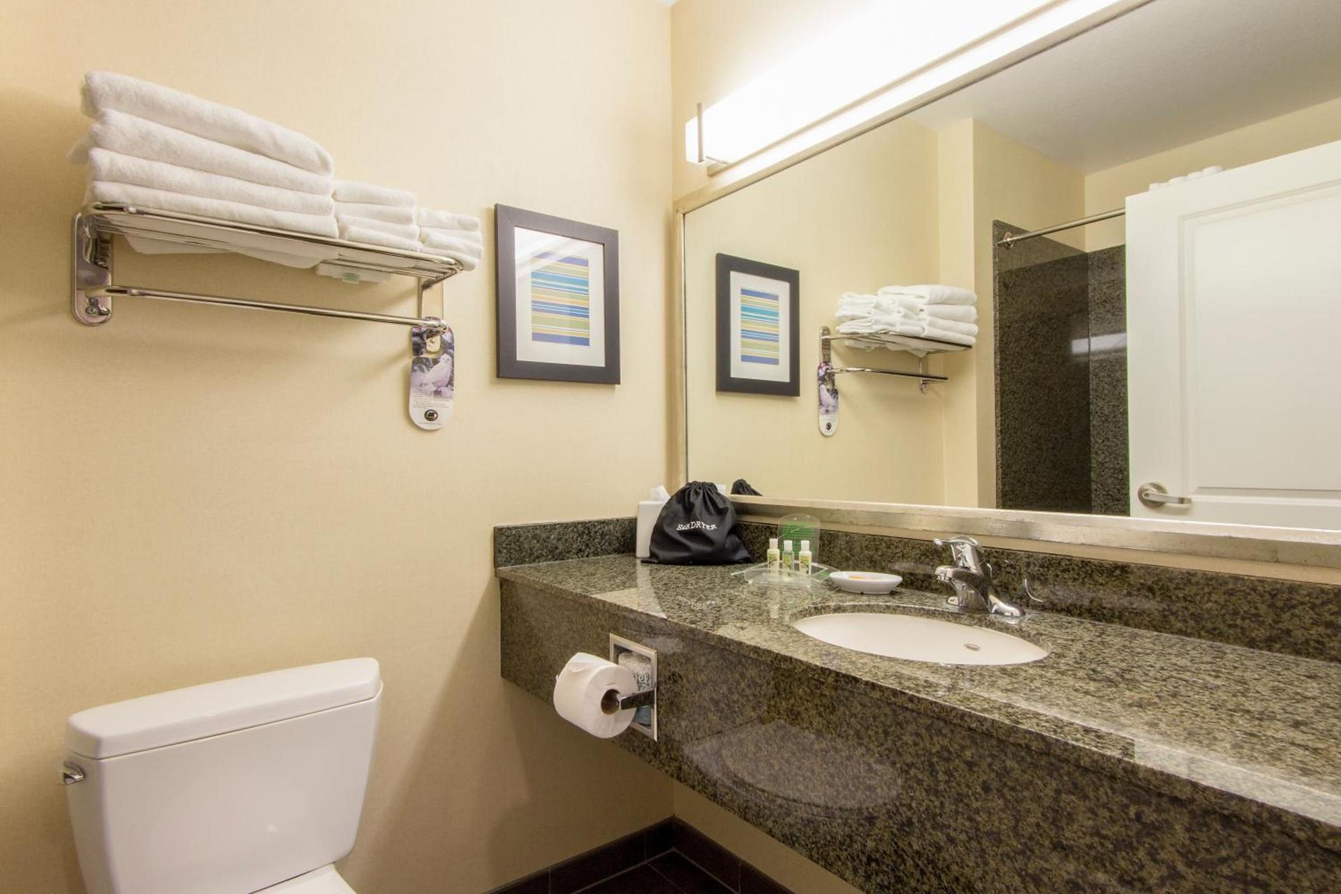 Holiday Inn Scottsdale North- Airpark by IHG photo 47