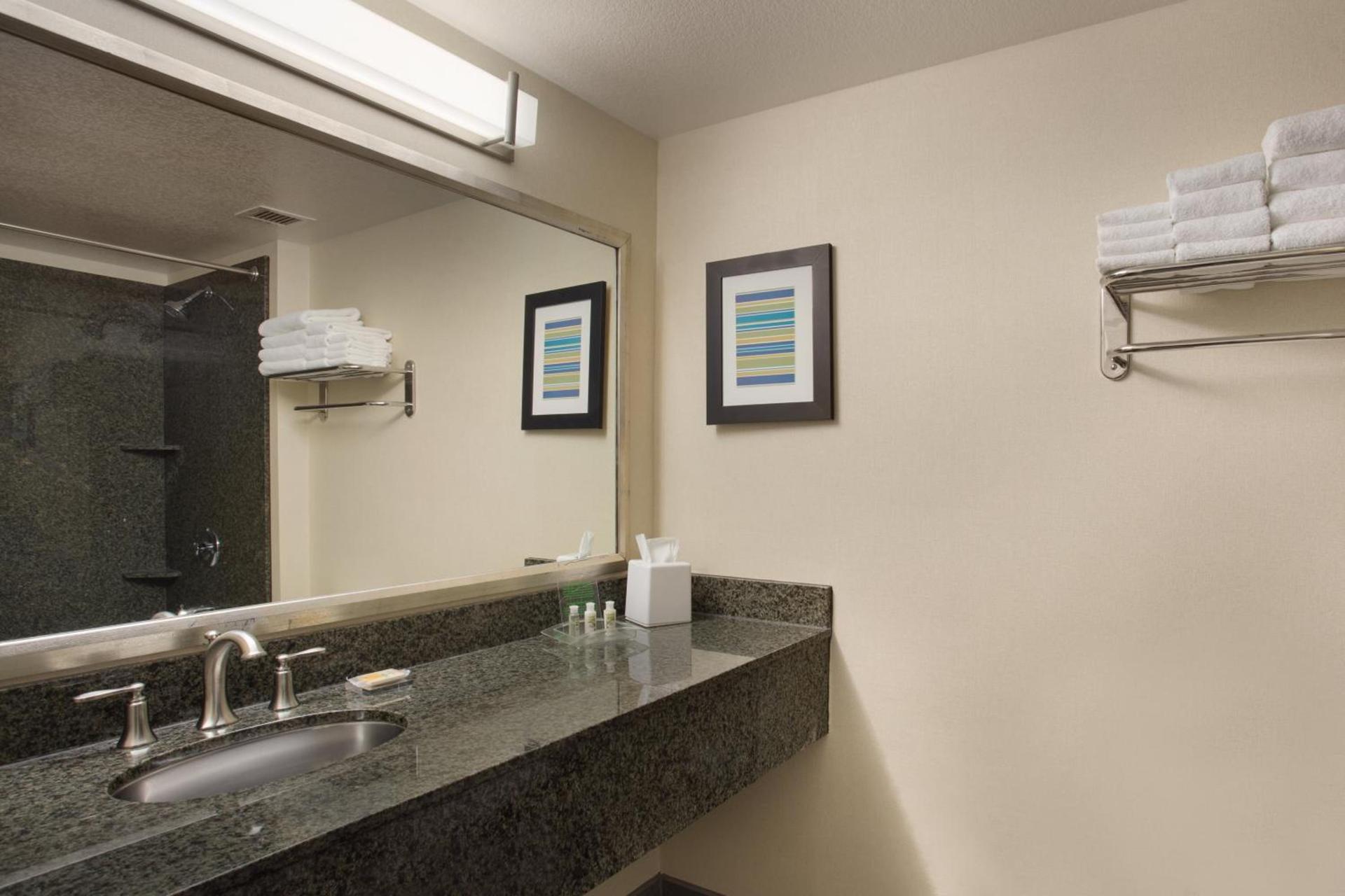 Holiday Inn Scottsdale North- Airpark by IHG photo 43
