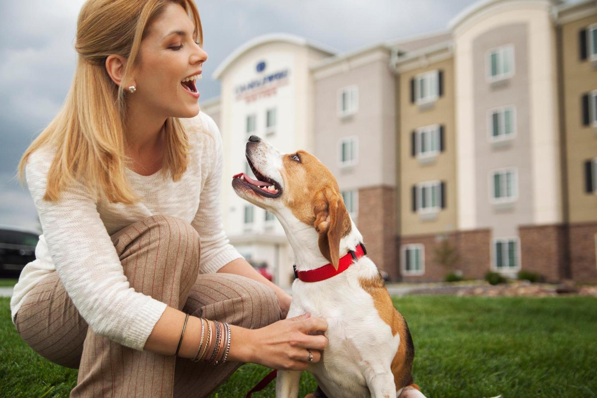 Candlewood Suites - Grand Prairie - Arlington by IHG photo 17