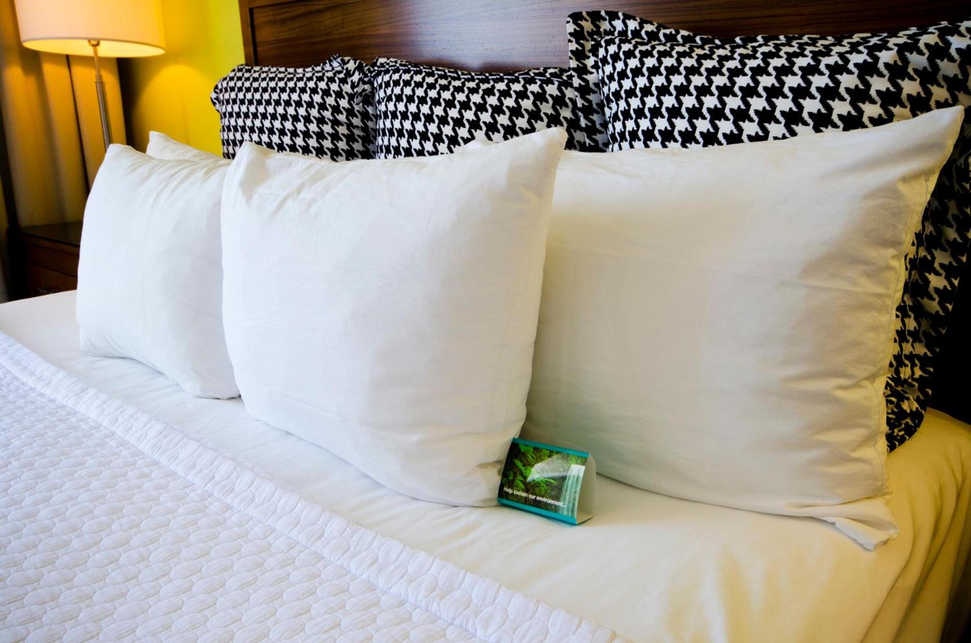 Hotel Indigo Columbus Architectural Center by IHG photo 47