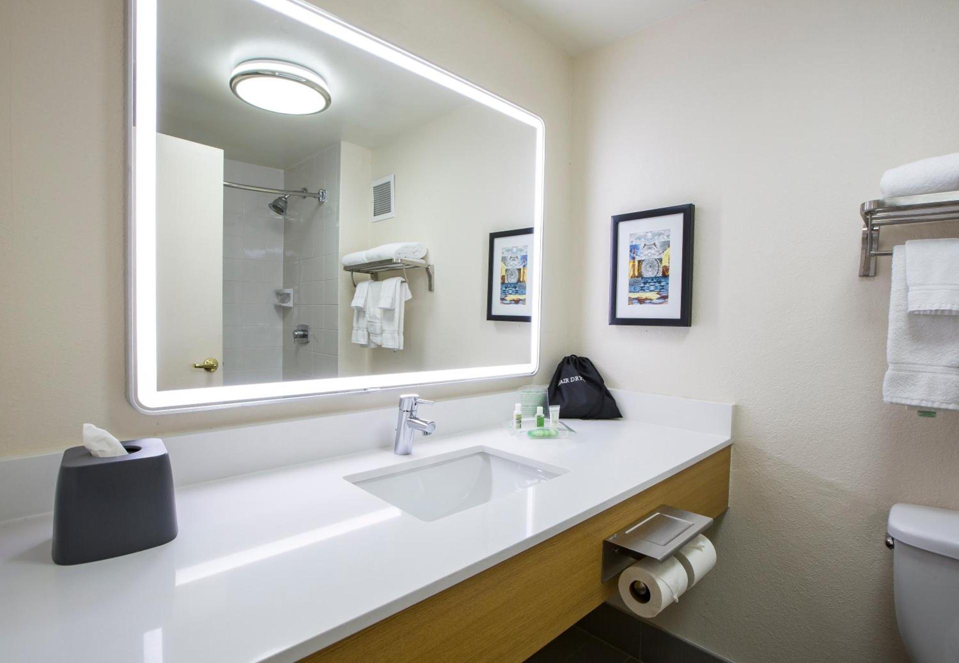 Holiday Inn Chicago North Shore by IHG photo 40