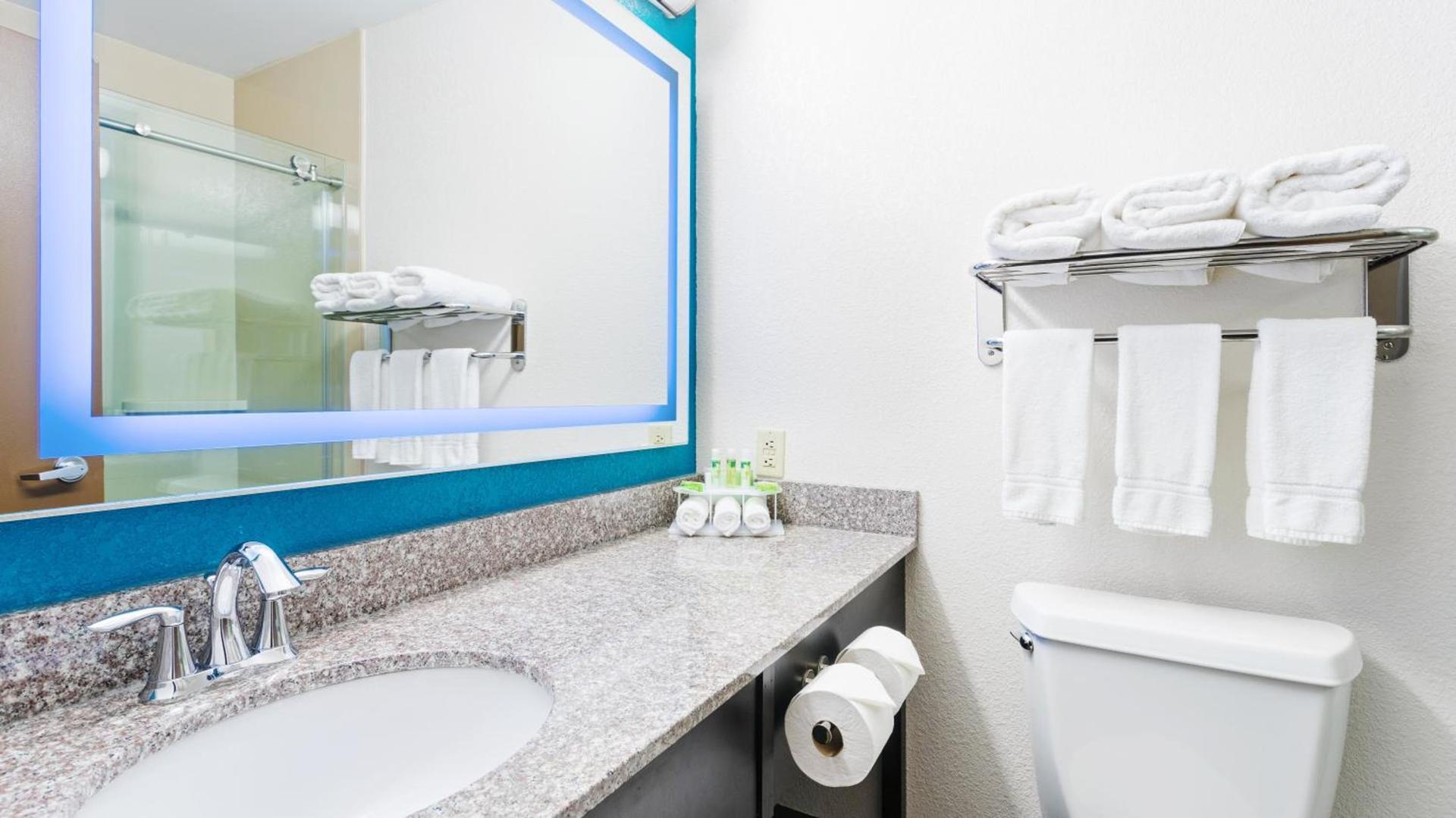 Holiday Inn Express & Suites Wyomissing by IHG photo 23