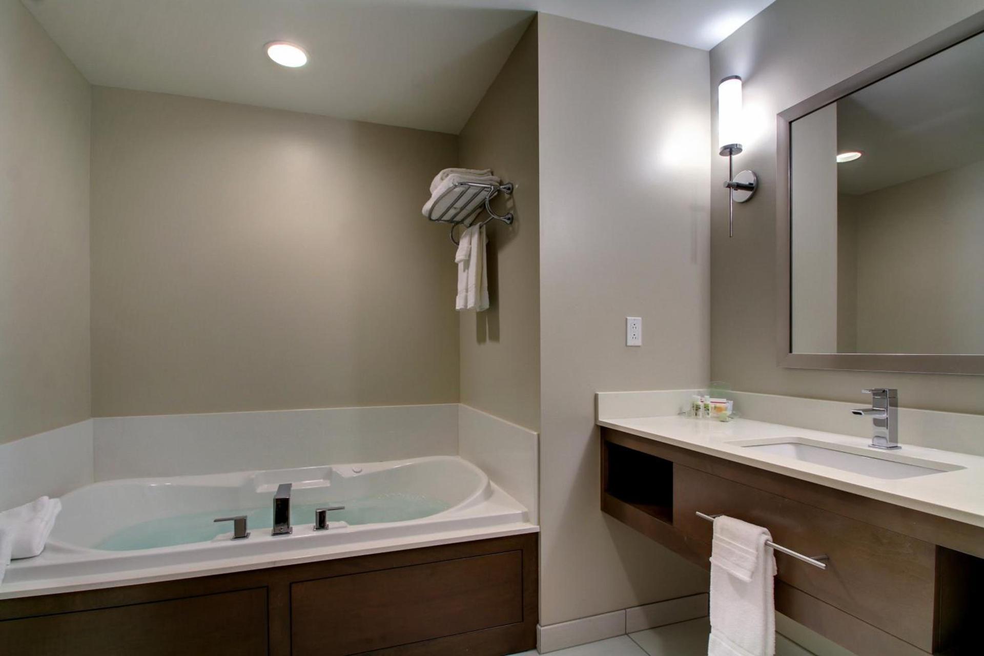 Holiday Inn & Suites Peoria At Grand Prairie by IHG photo 44