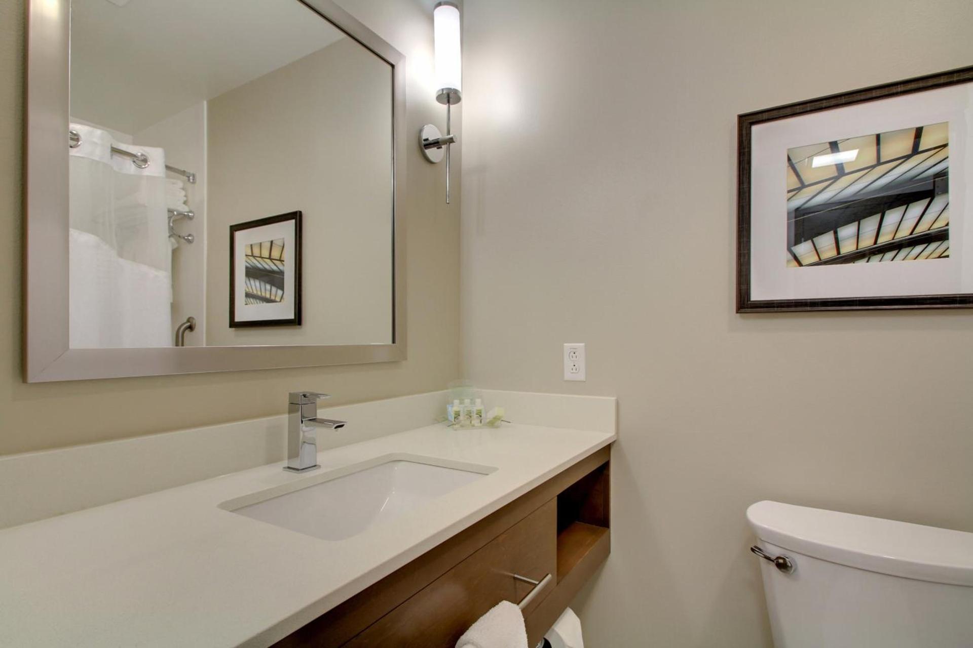 Holiday Inn & Suites Peoria At Grand Prairie by IHG photo 37