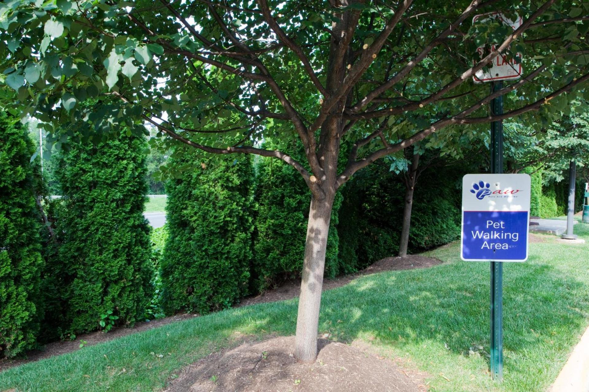 Candlewood Suites Washington-Fairfax by IHG photo 6