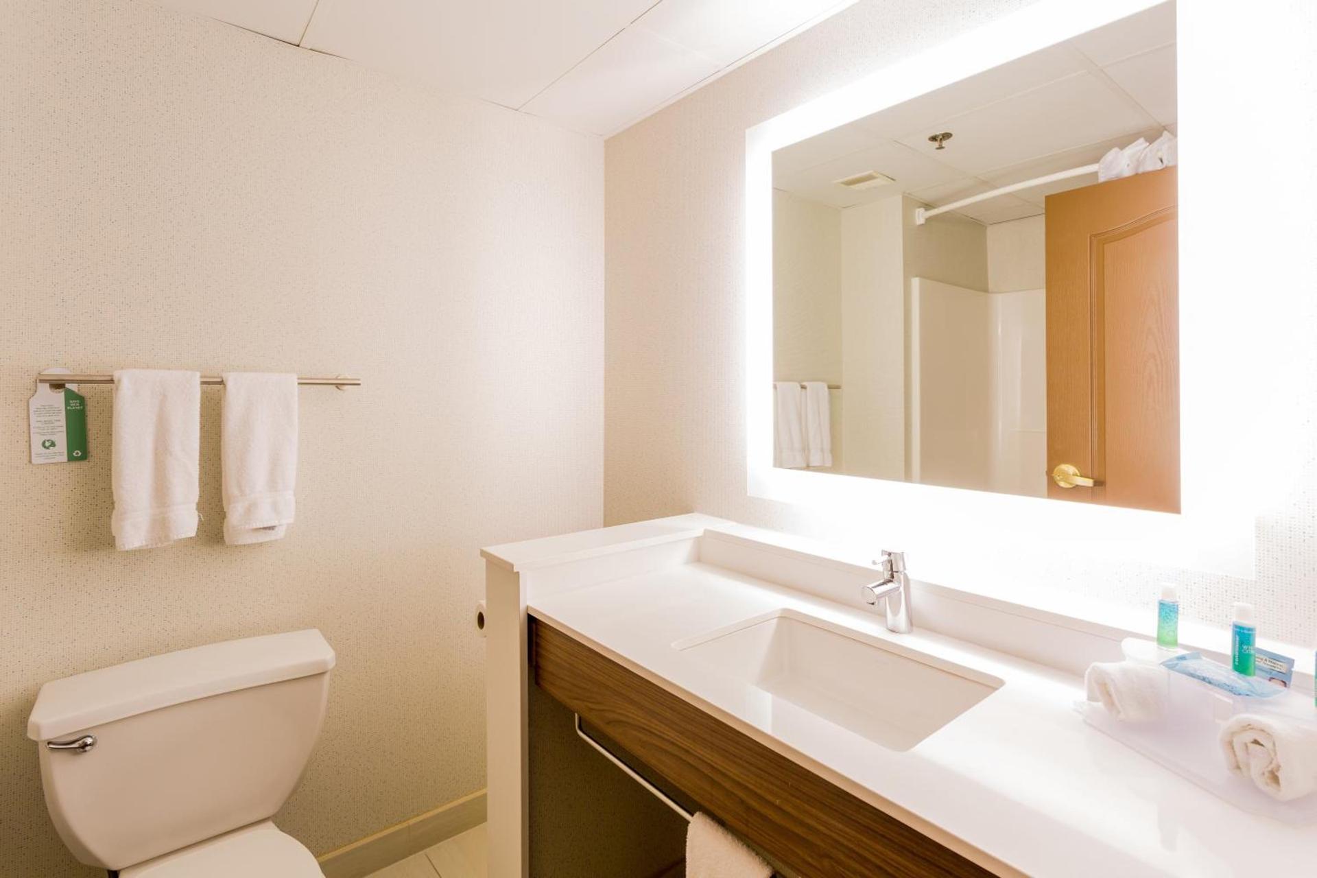 Holiday Inn Express Hotel & Suites Reading by IHG photo 7