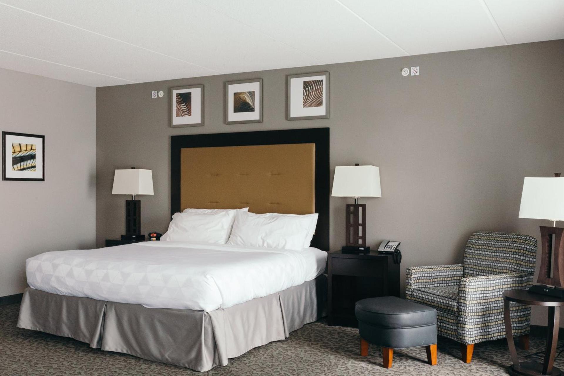 Holiday Inn and Suites East Peoria by IHG photo 75
