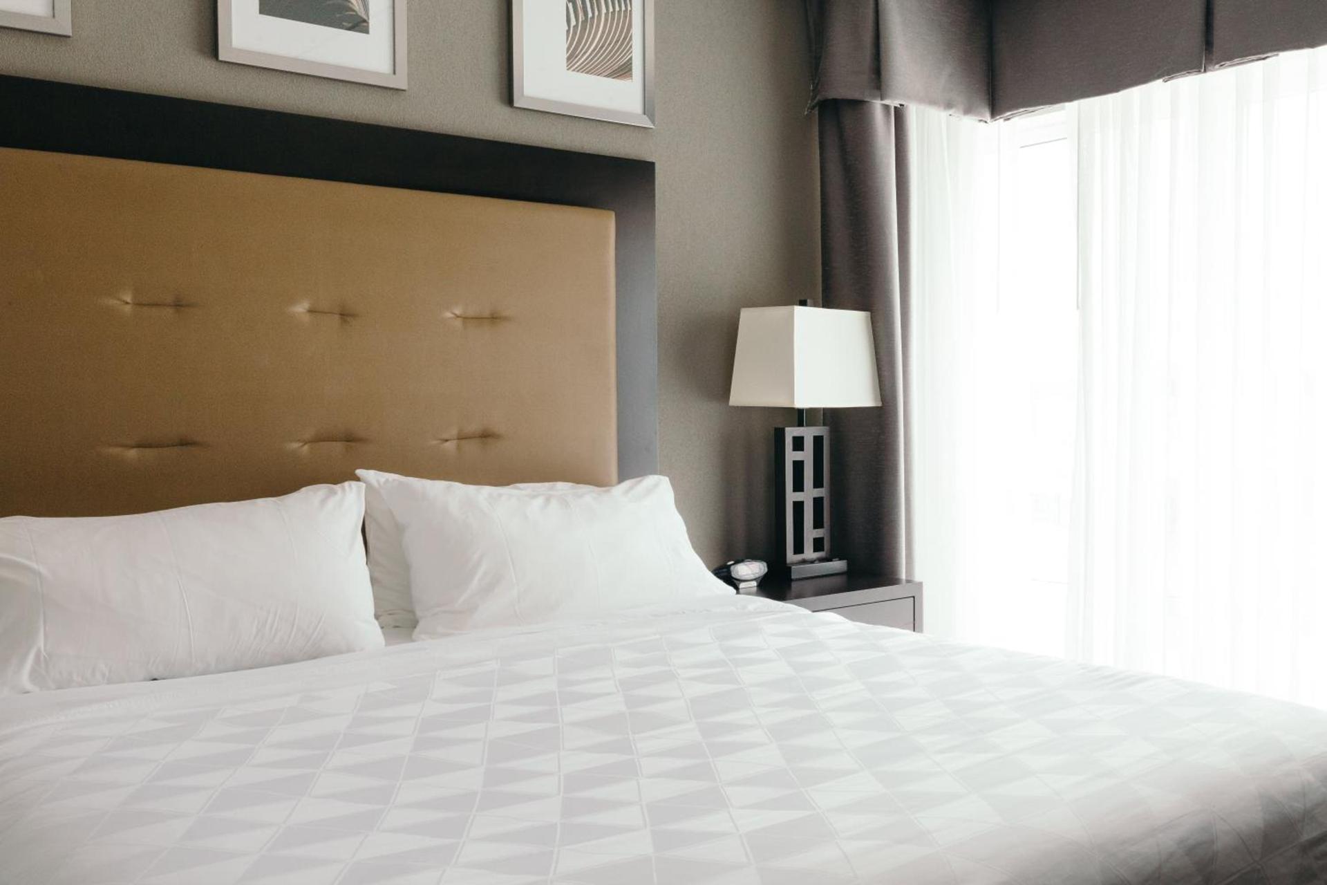 Holiday Inn and Suites East Peoria by IHG photo 84