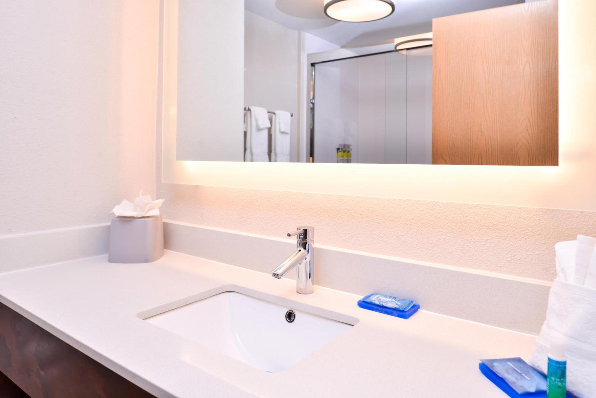 Holiday Inn Express Hotel & Suites Tampa-Anderson Road-Veterans Exp by IHG photo 35