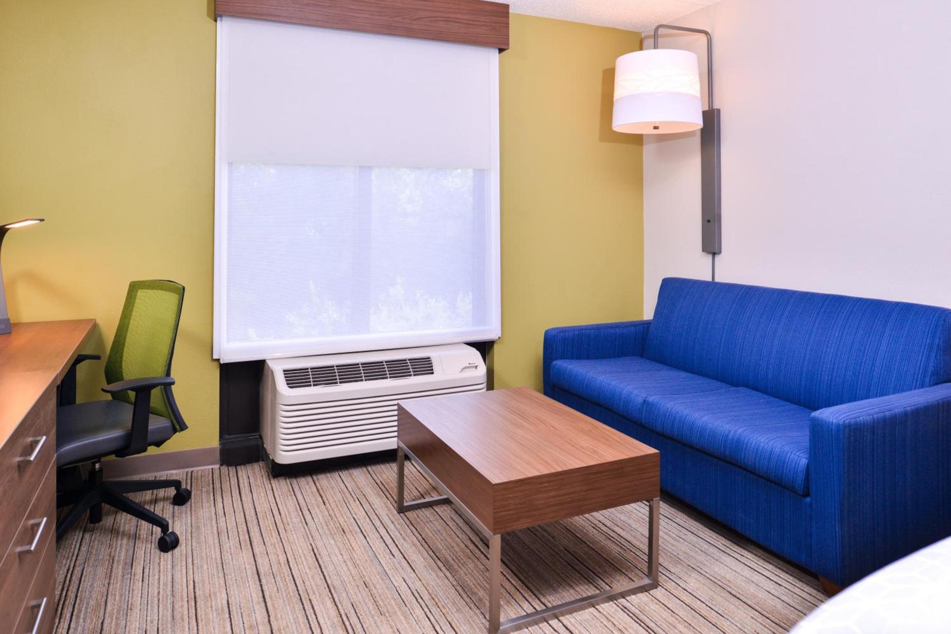 Holiday Inn Express Hotel & Suites Tampa-Anderson Road-Veterans Exp by IHG photo 55