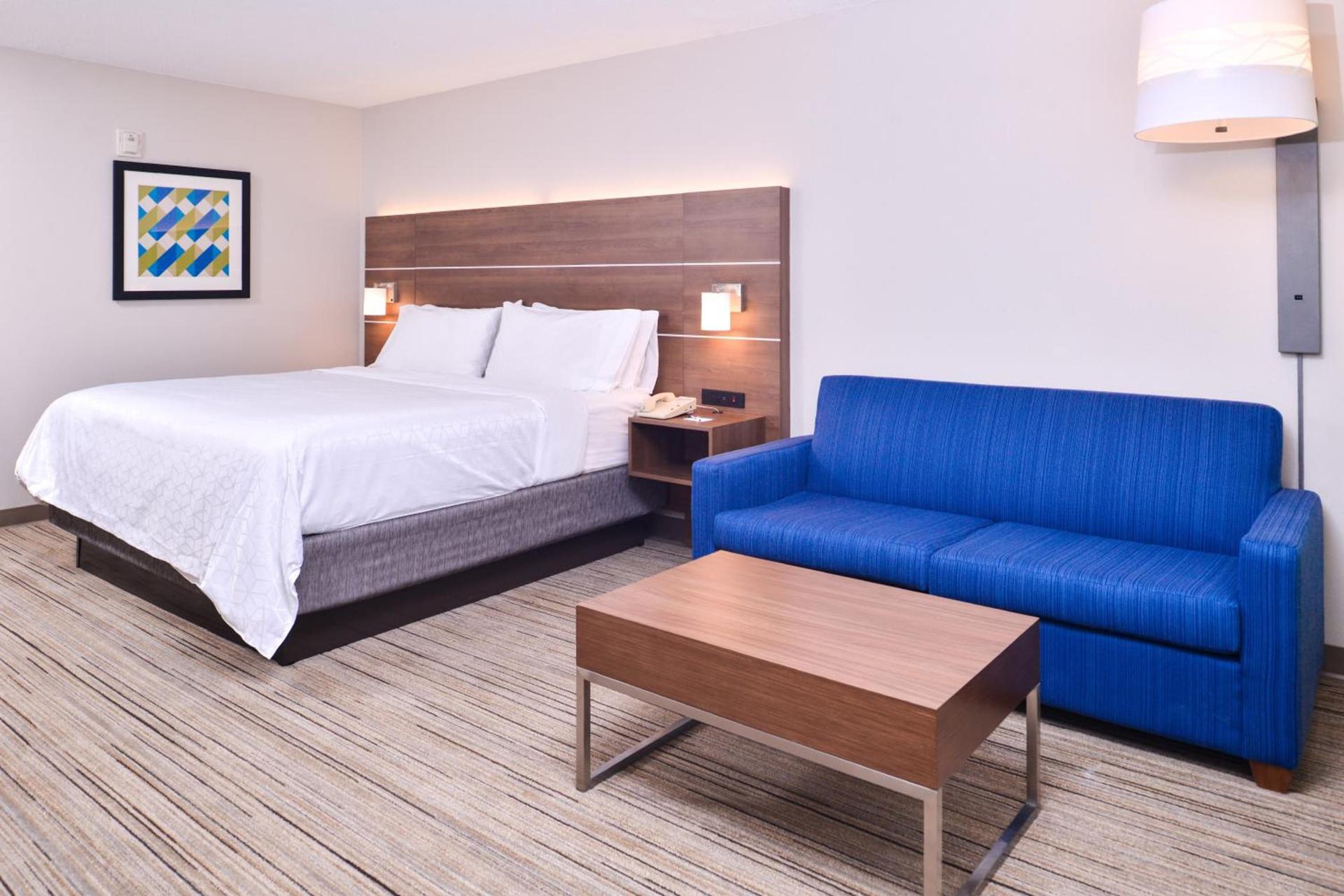Holiday Inn Express Hotel & Suites Tampa-Anderson Road-Veterans Exp by IHG photo 58