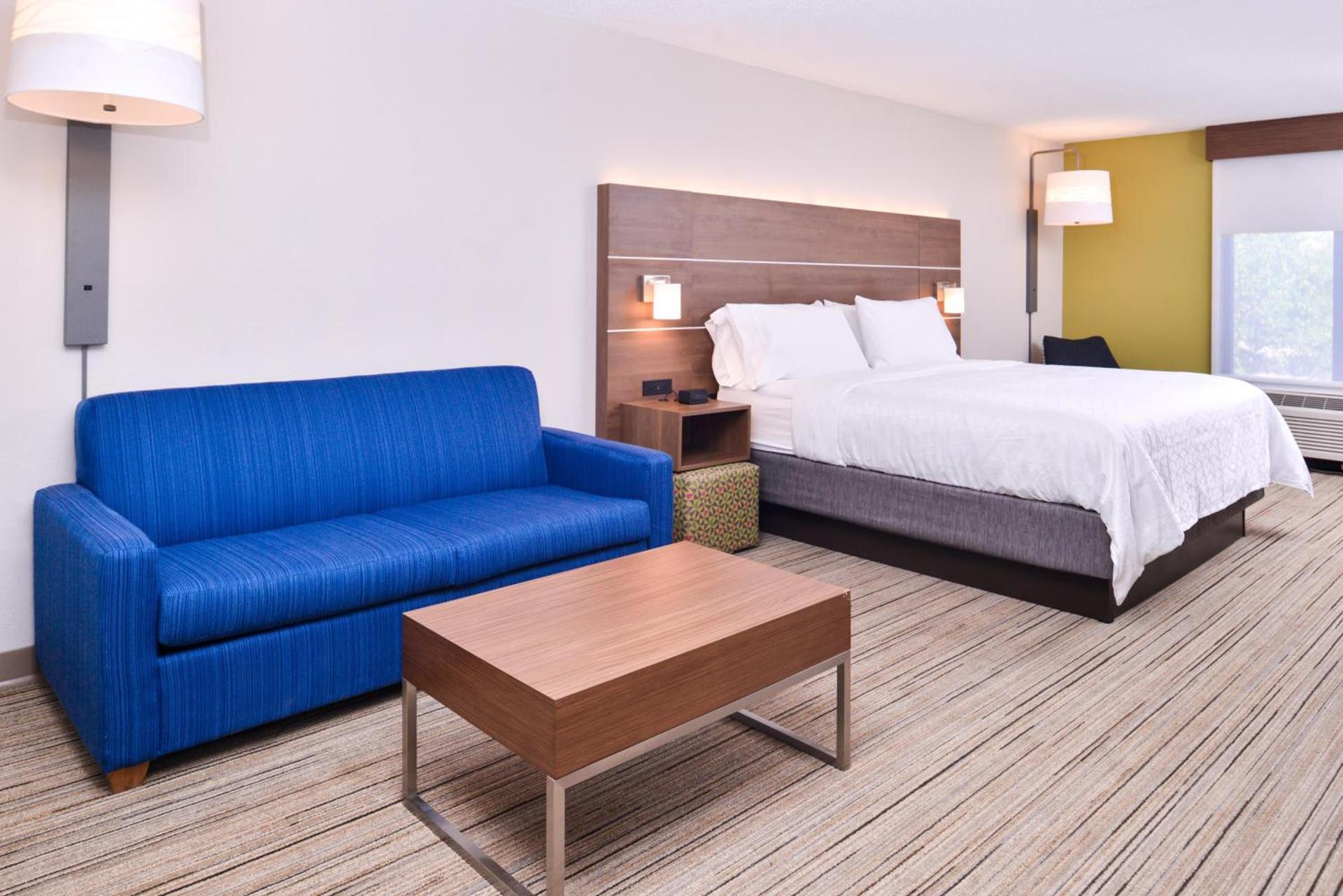 Holiday Inn Express Hotel & Suites Tampa-Anderson Road-Veterans Exp by IHG photo 31