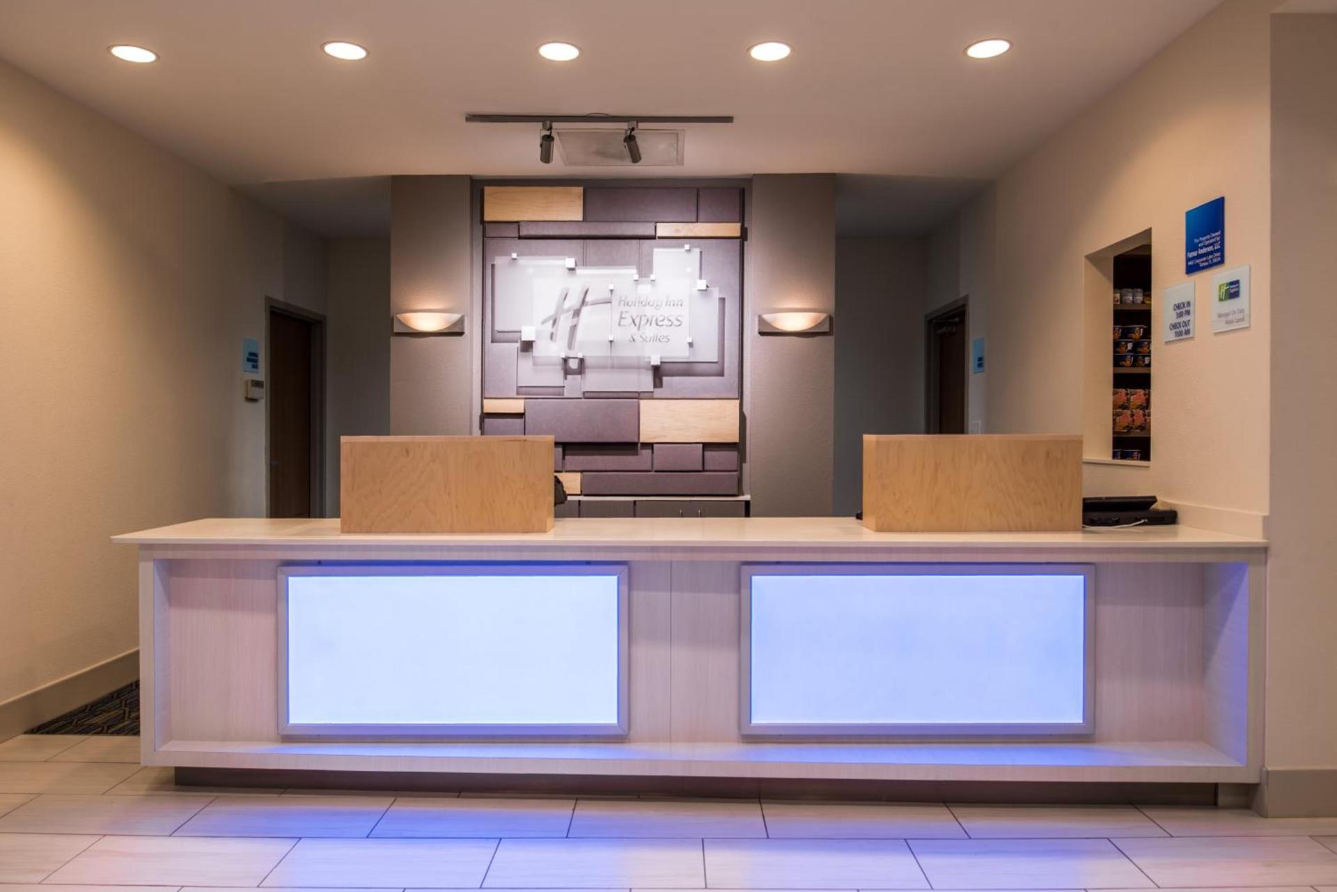 Holiday Inn Express Hotel & Suites Tampa-Anderson Road-Veterans Exp by IHG photo 6