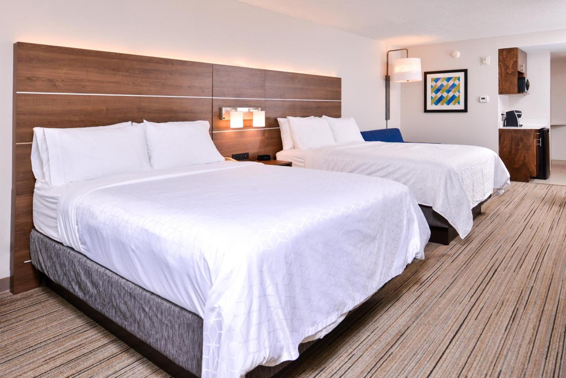 Holiday Inn Express Hotel & Suites Tampa-Anderson Road-Veterans Exp by IHG photo 7