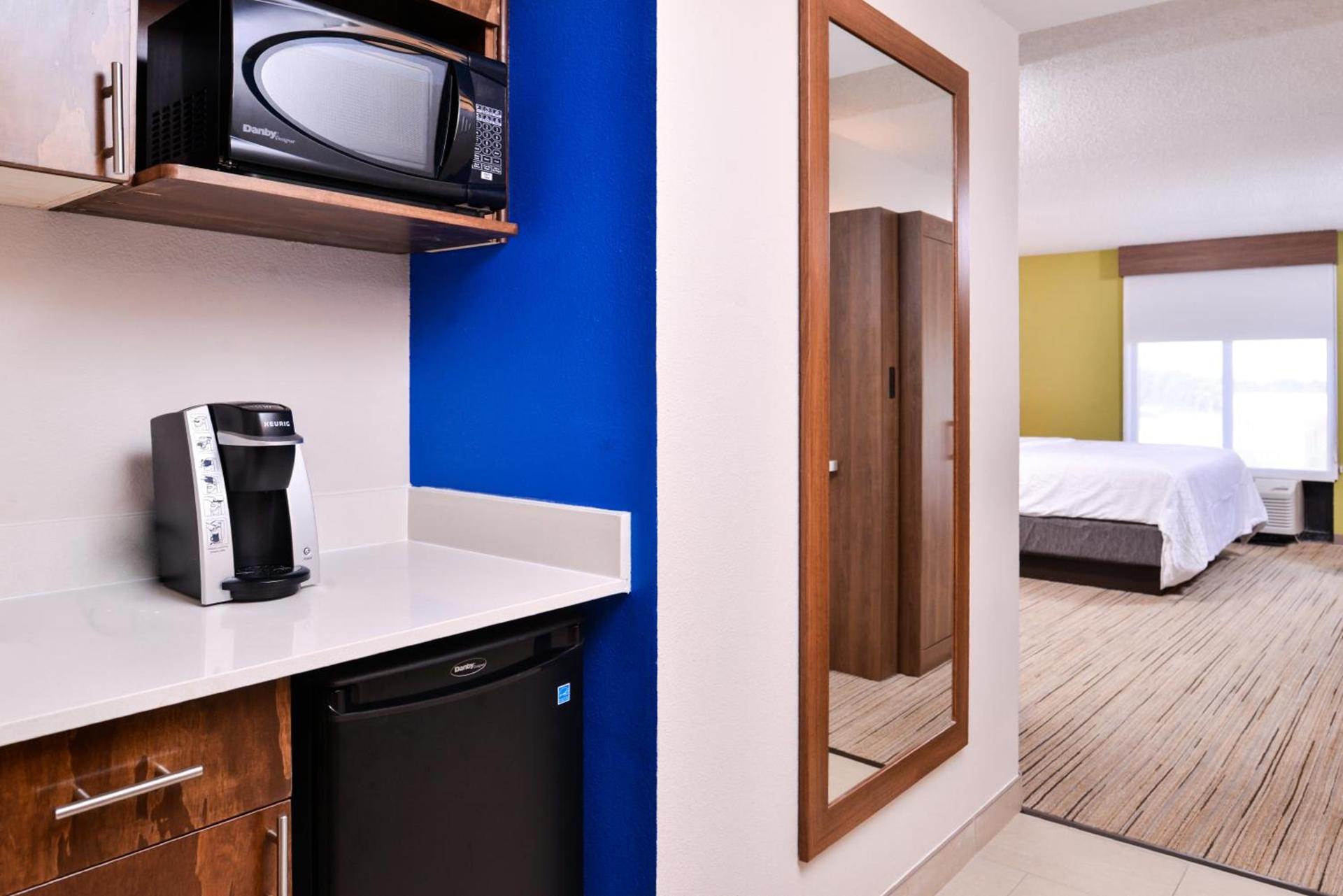 Holiday Inn Express Hotel & Suites Tampa-Anderson Road-Veterans Exp by IHG photo 33