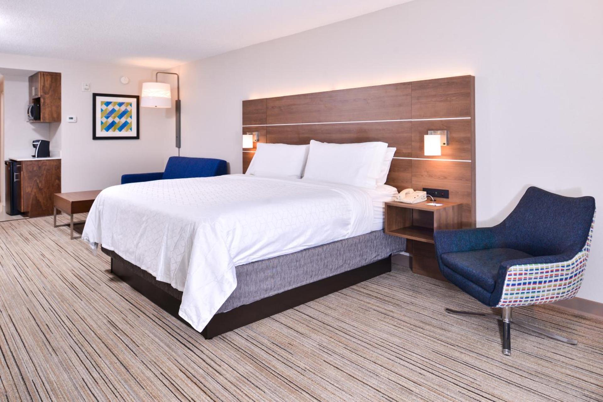 Holiday Inn Express Hotel & Suites Tampa-Anderson Road-Veterans Exp by IHG photo 38