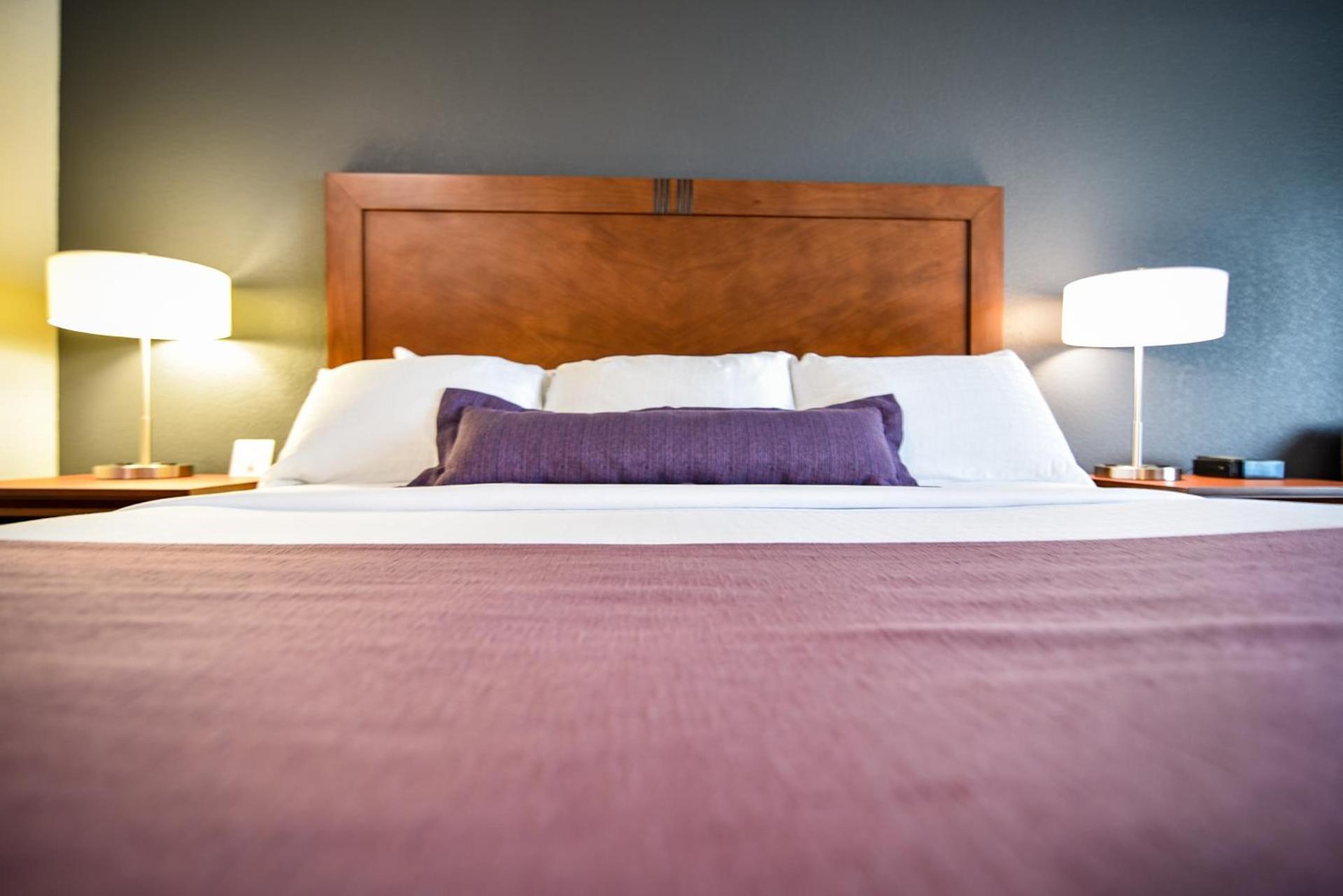 Bluemont Hotel photo 4