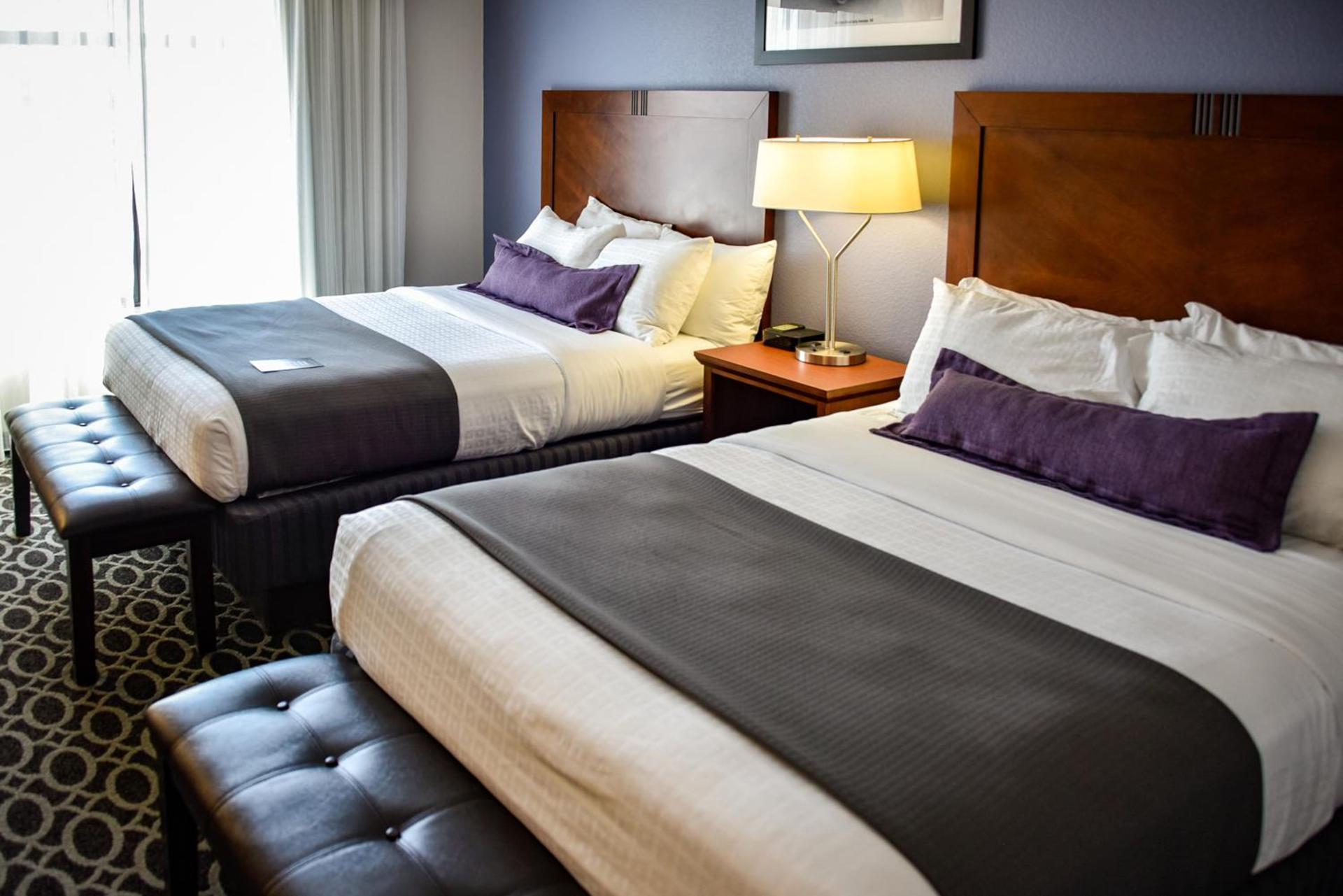 Bluemont Hotel photo 7
