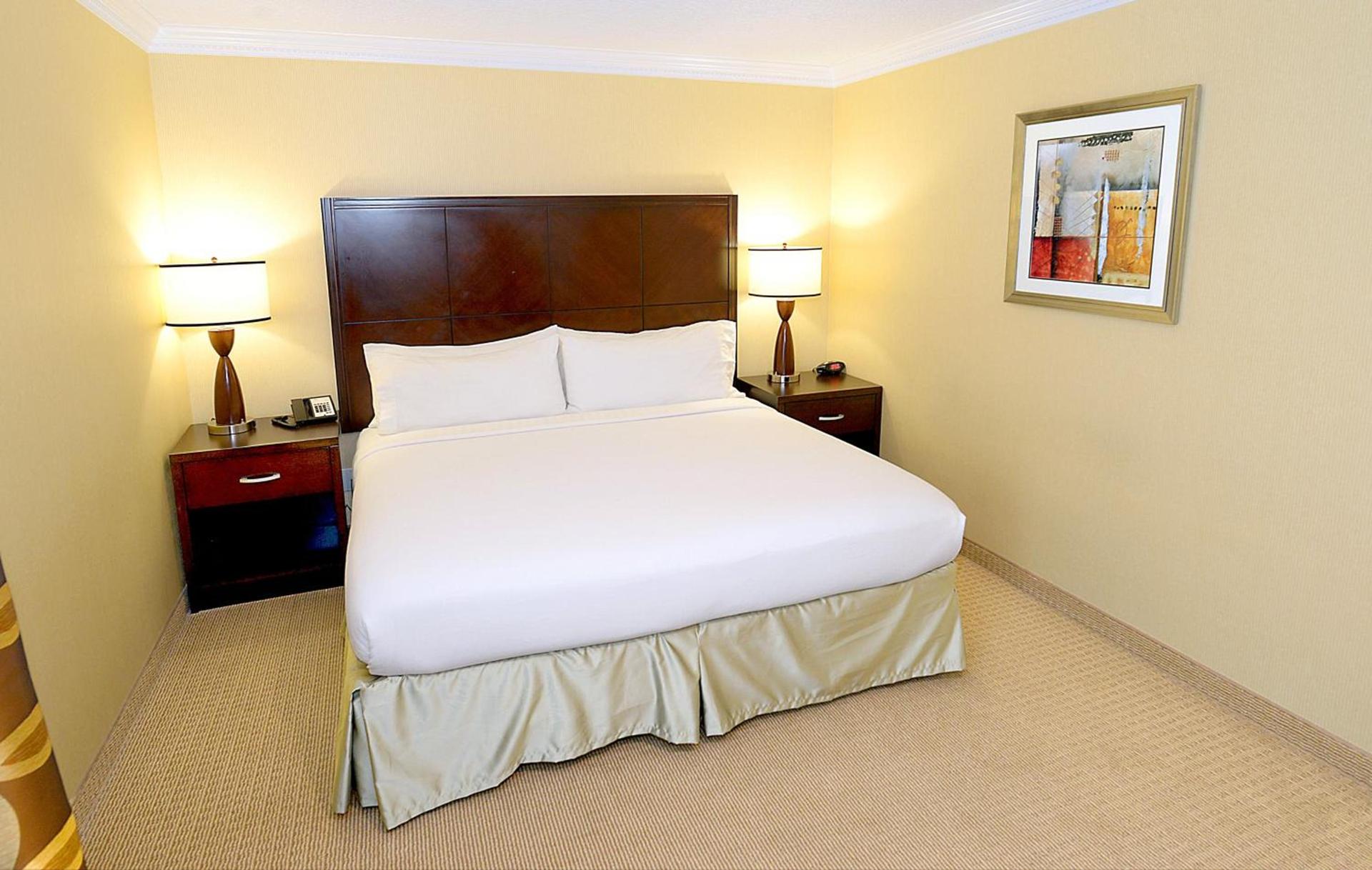 Holiday Inn & Suites San Mateo - SFO by IHG photo 59