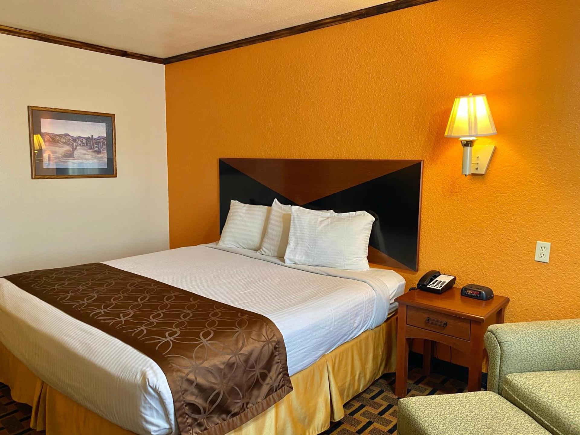 Green bird Inn photo 3