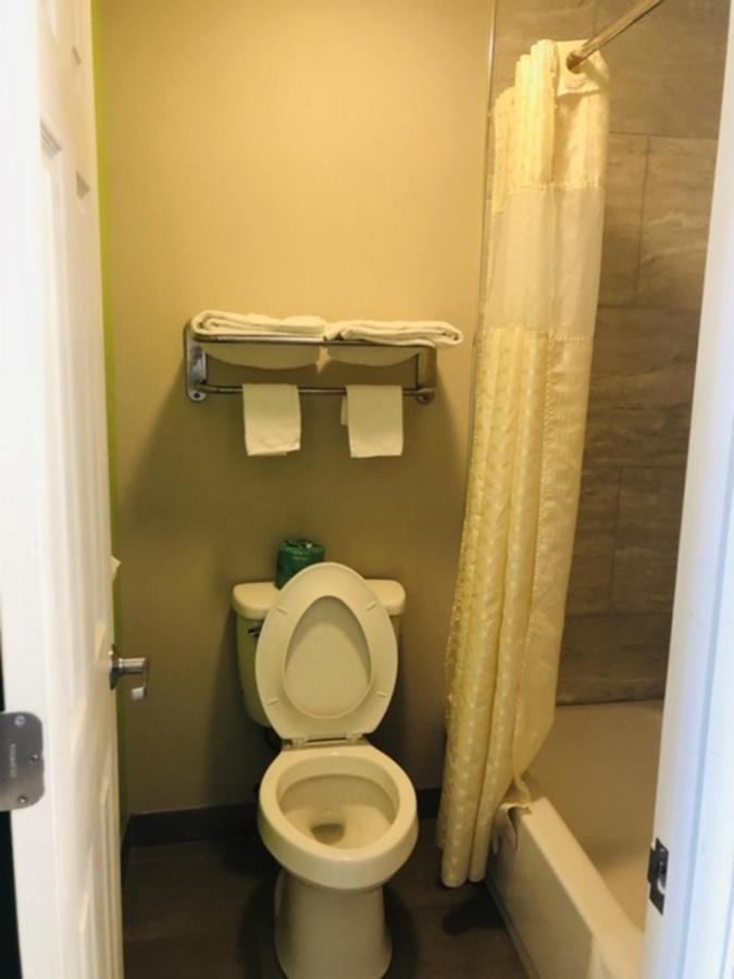 Flamingo Beach Inn photo 8