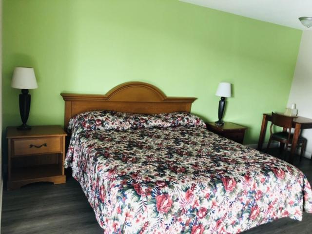 Flamingo Beach Inn photo 9