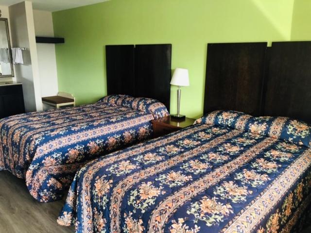Flamingo Beach Inn photo 5