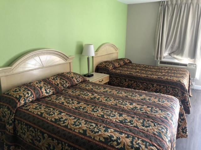 Flamingo Beach Inn photo 6