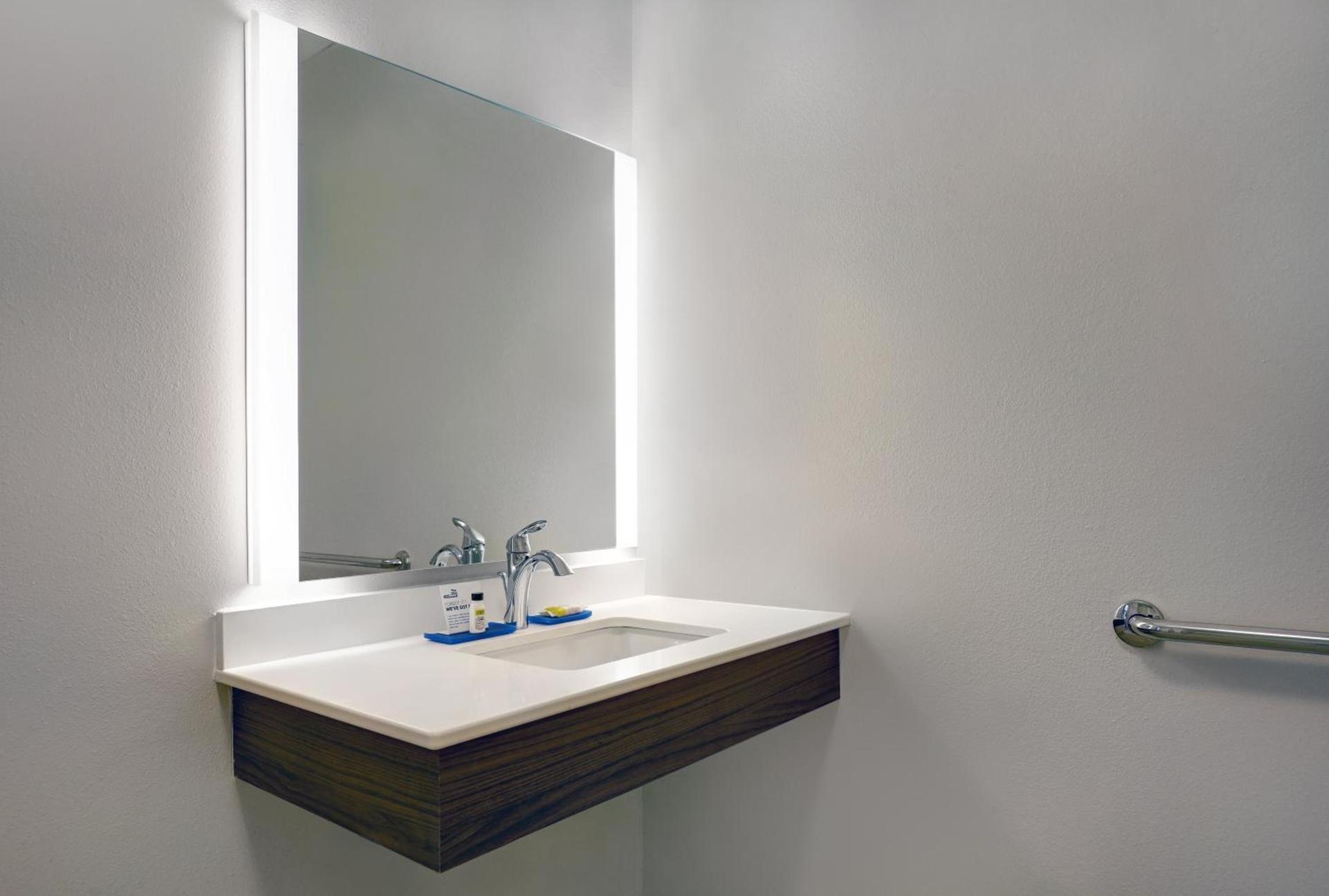 Holiday Inn Express & Suites - Lenexa - Overland Park Area by IHG photo 42