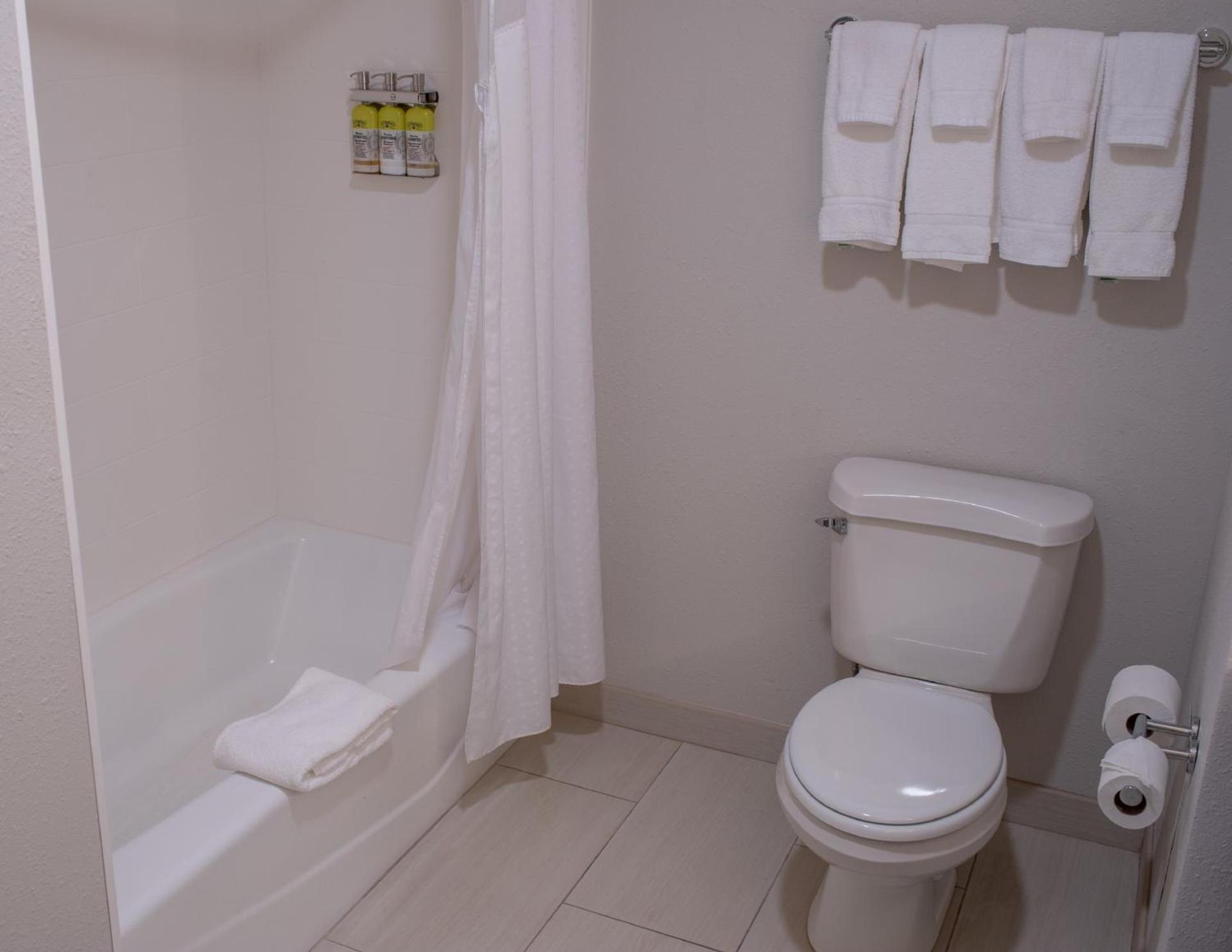 Holiday Inn Express Hotel & Suites Conover - Hickory Area by IHG photo 13