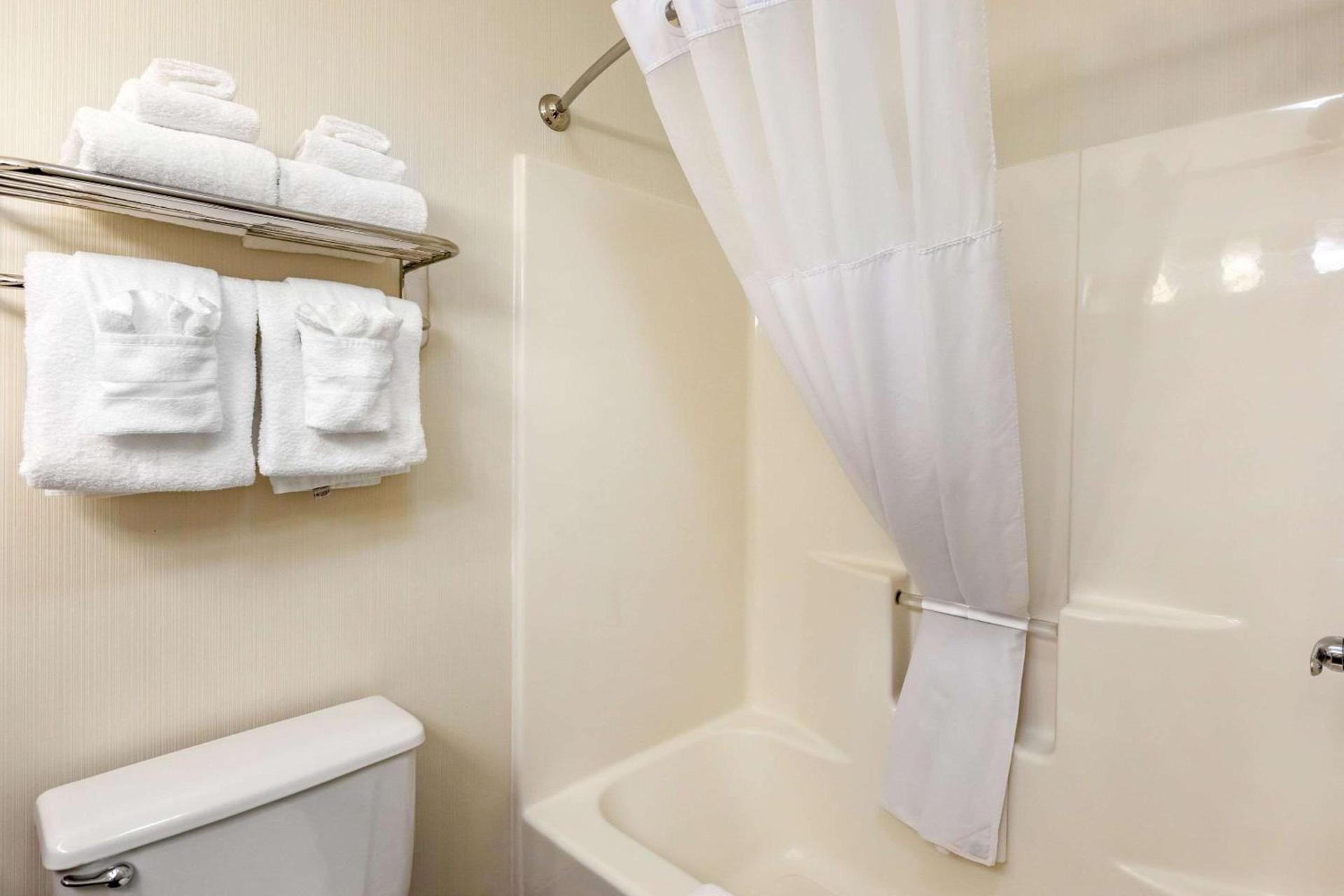 Quality Inn & Suites University Fort Collins photo 23