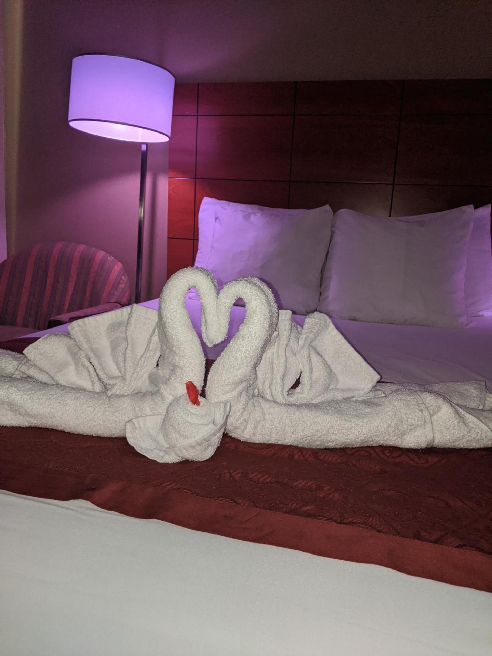Jets Motor Inn photo 10