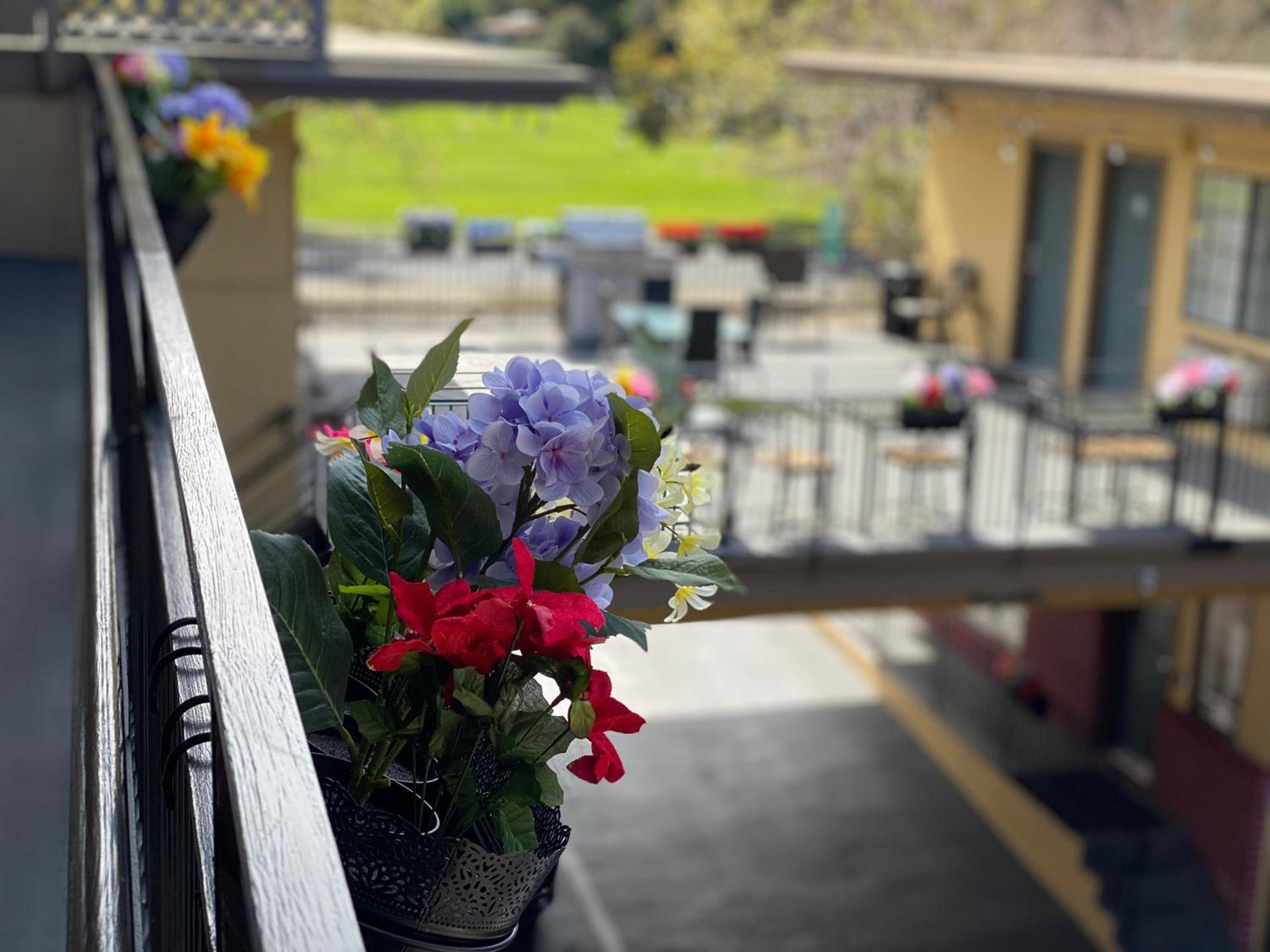 Westwind Lodge photo 5
