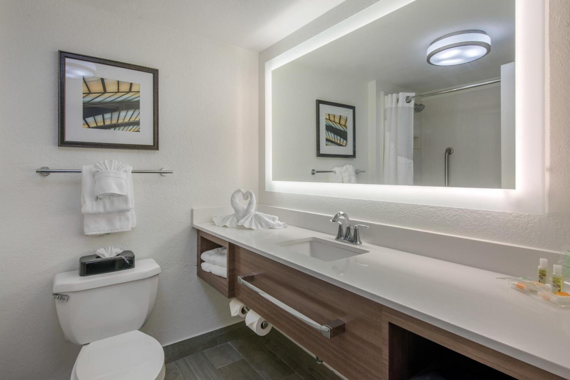 Holiday Inn Savannah South - I-95 Gateway by IHG photo 7
