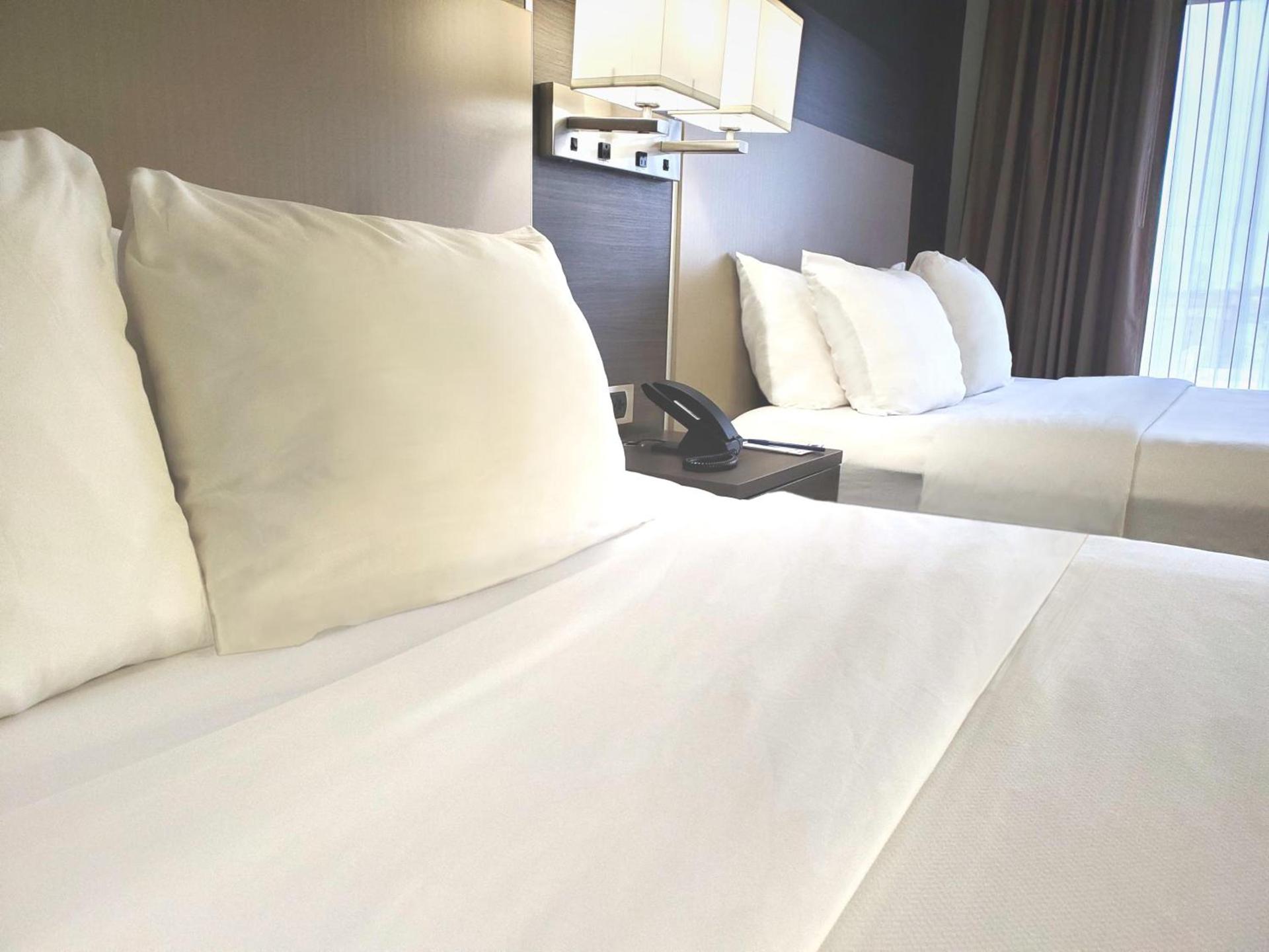 Comfort Suites Northlake photo 43