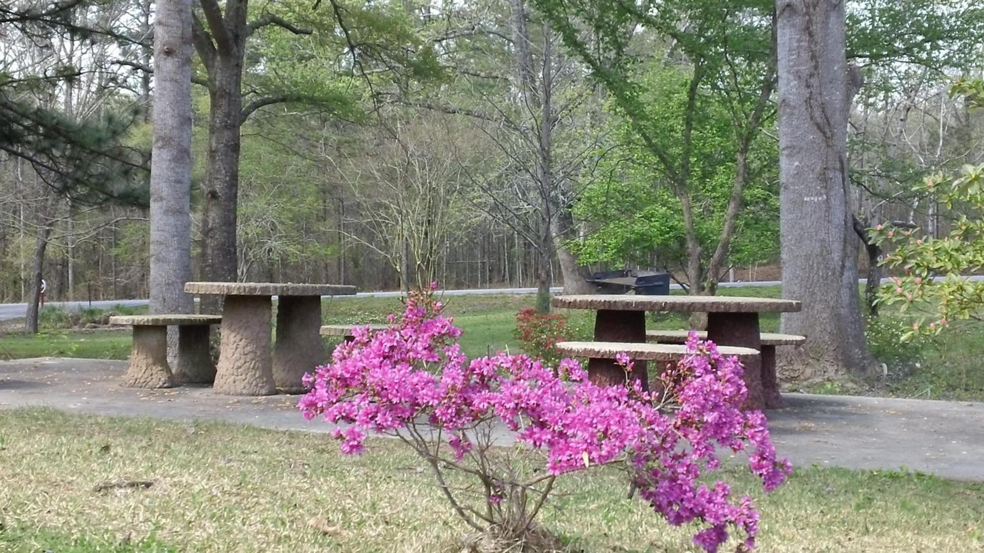 Valley Inn - Hamilton Ga photo 4