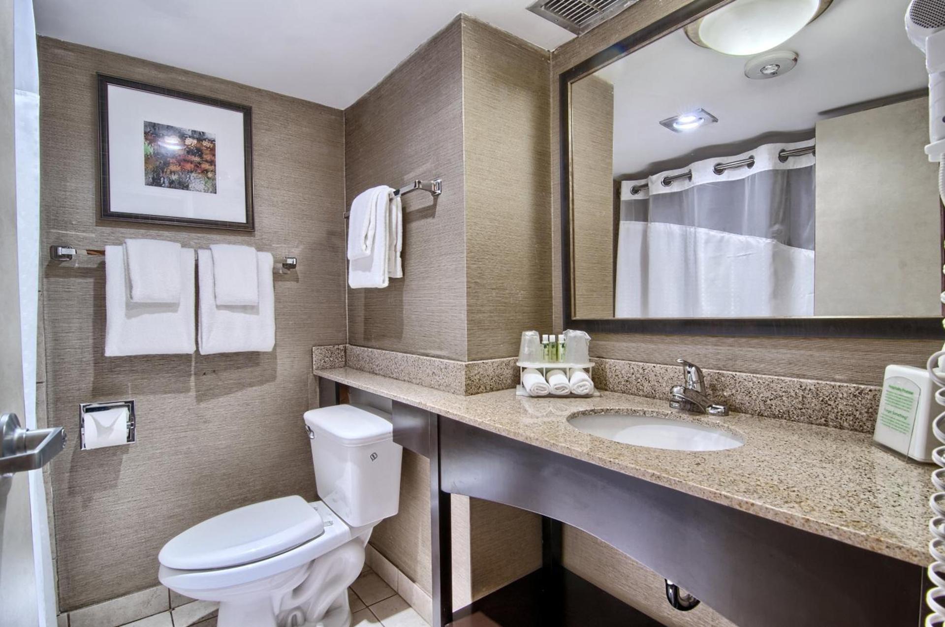 Holiday Inn Express Detroit-Birmingham by IHG photo 13