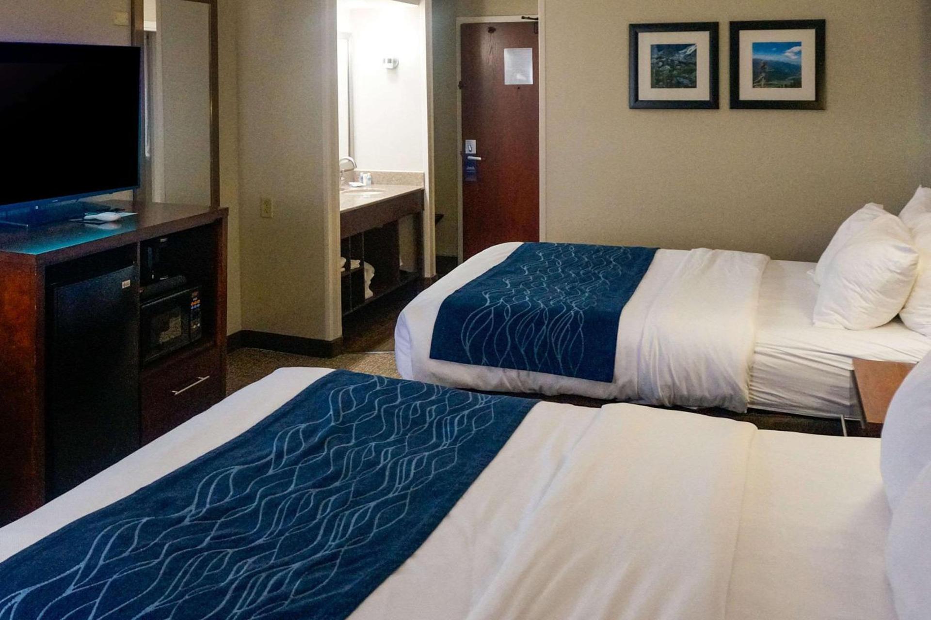 Comfort Inn & Suites Conway photo 27