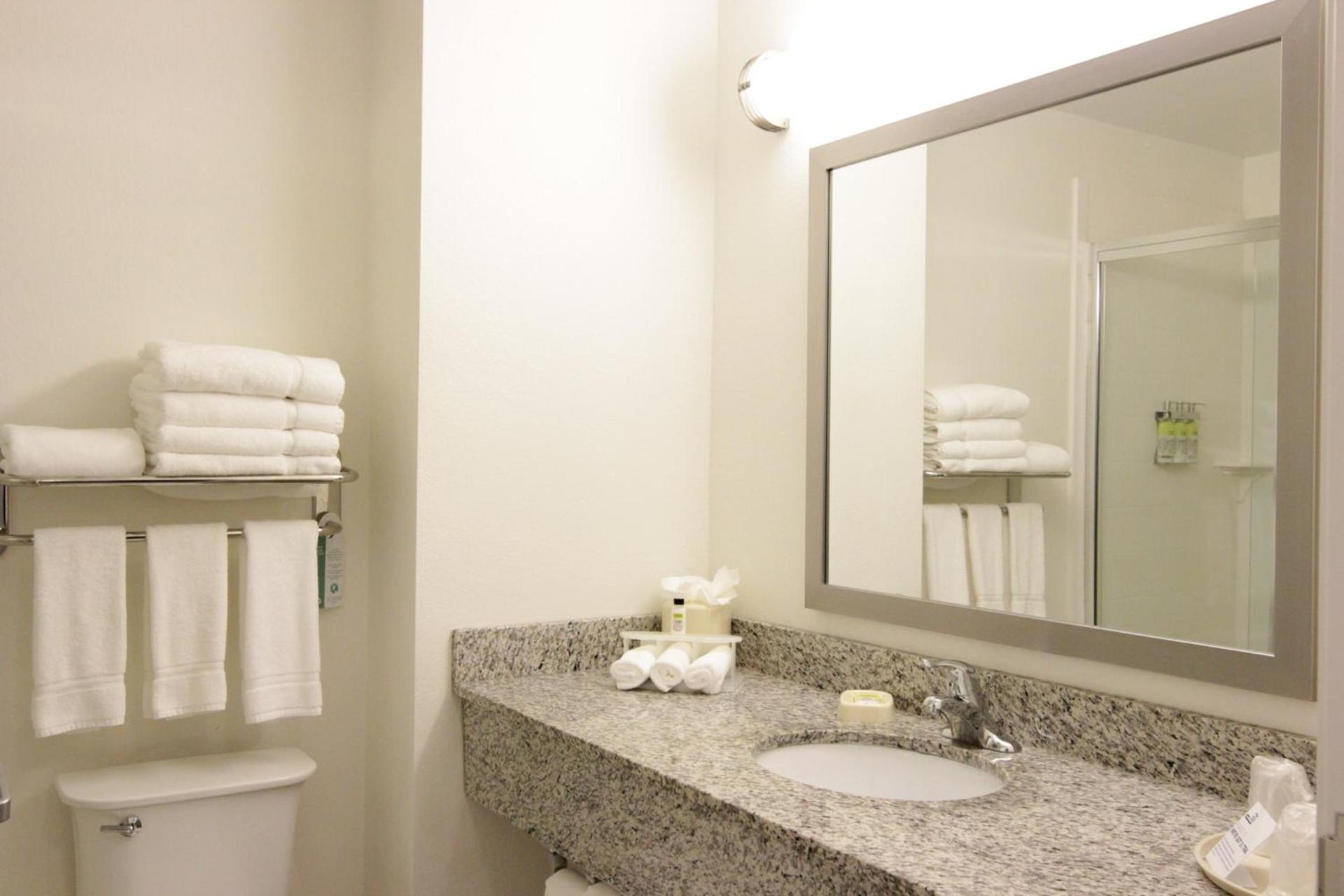 Holiday Inn Express and Suites Montgomery by IHG photo 29
