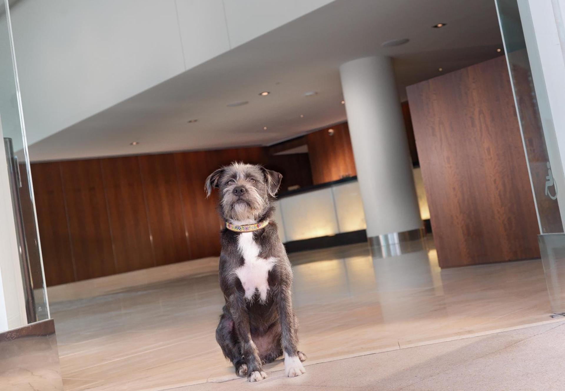 InterContinental San Francisco by IHG photo 7