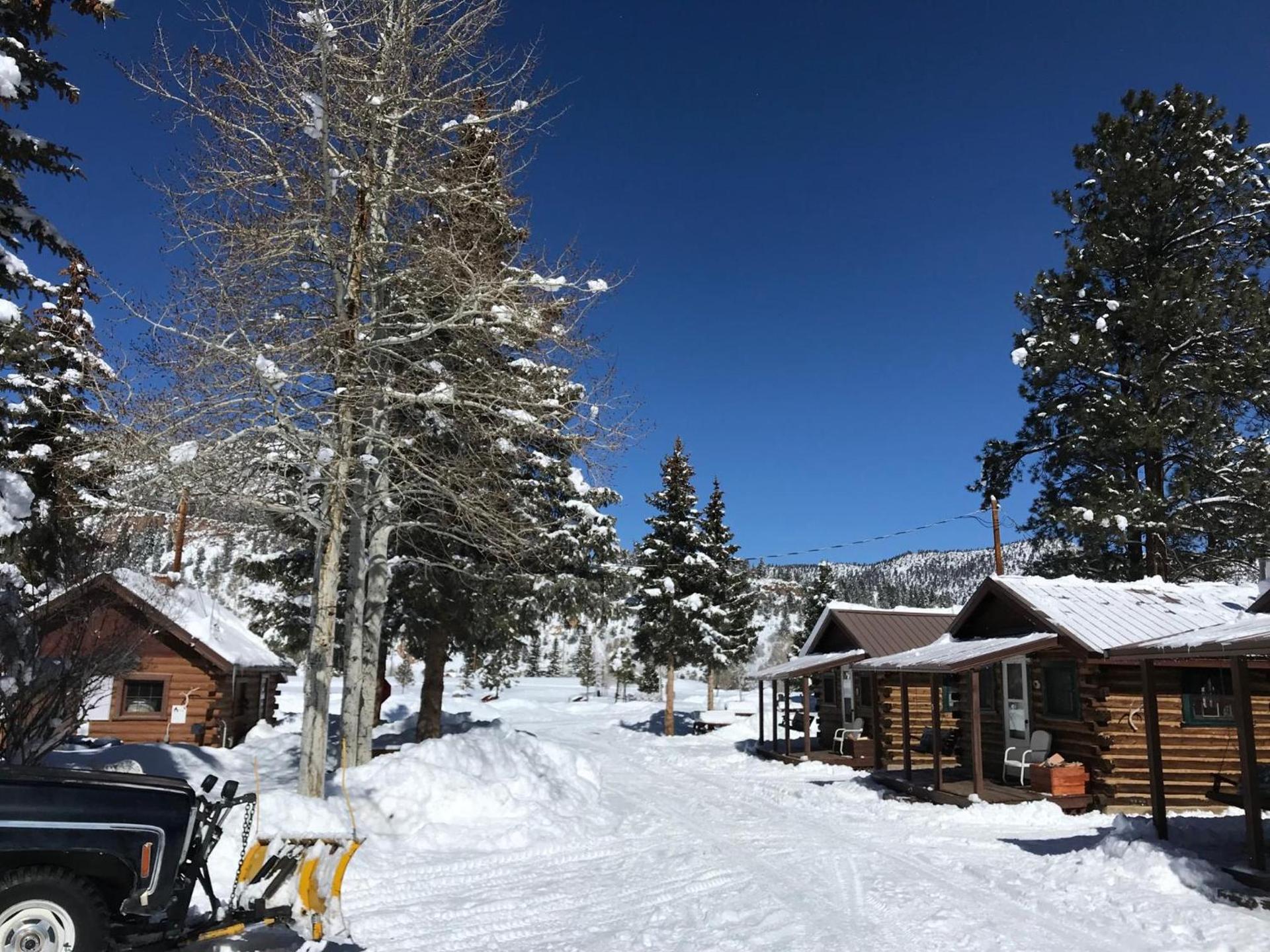 Grandview Cabins & RV Resort photo 40
