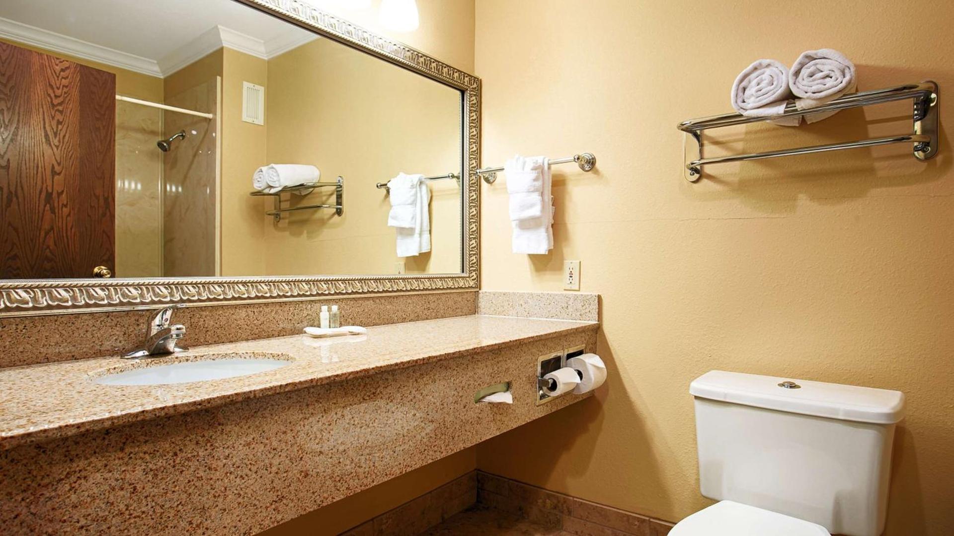Best Western Plus Southpark Inn & Suites photo 19