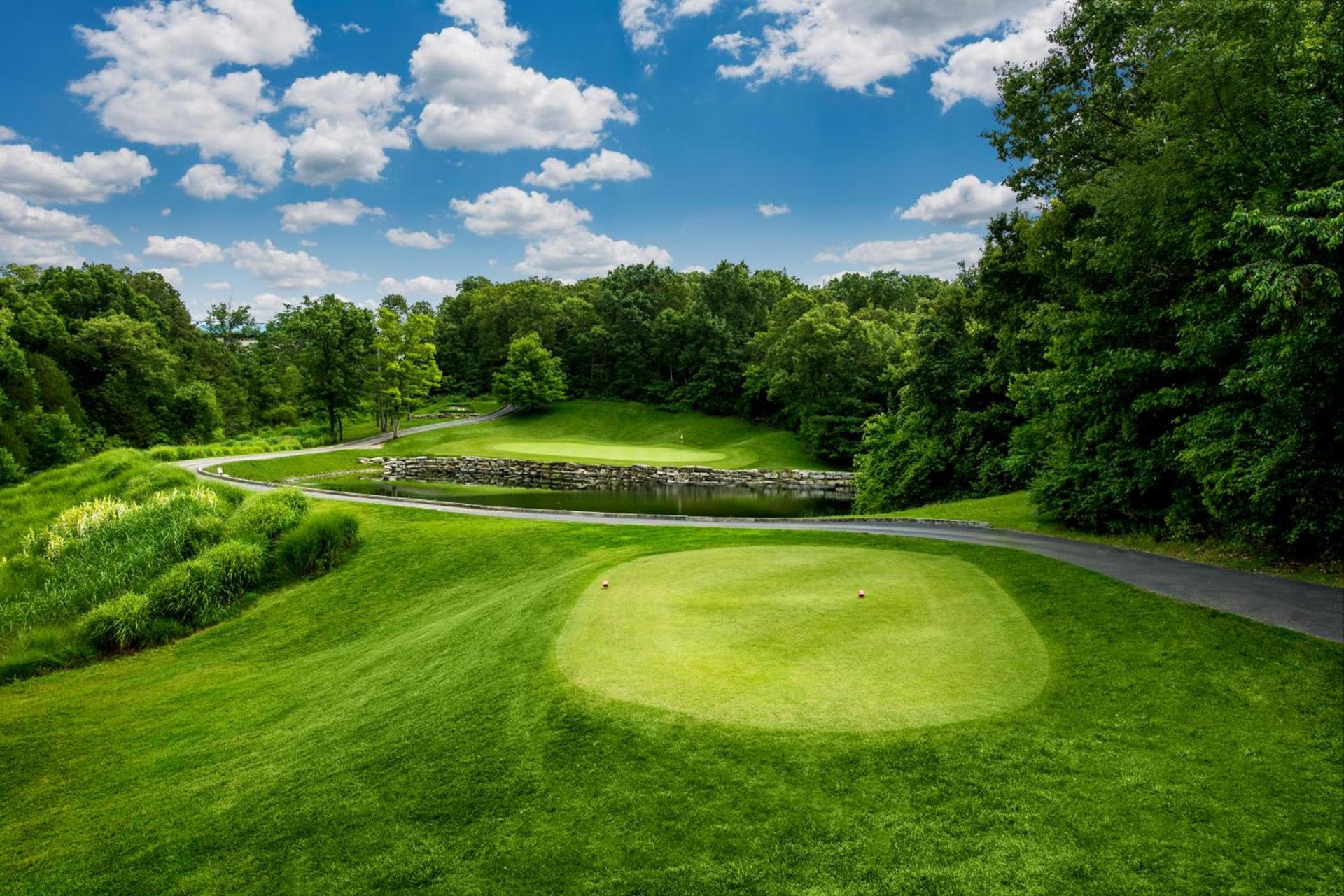 Links at Thousand Hills photo 8