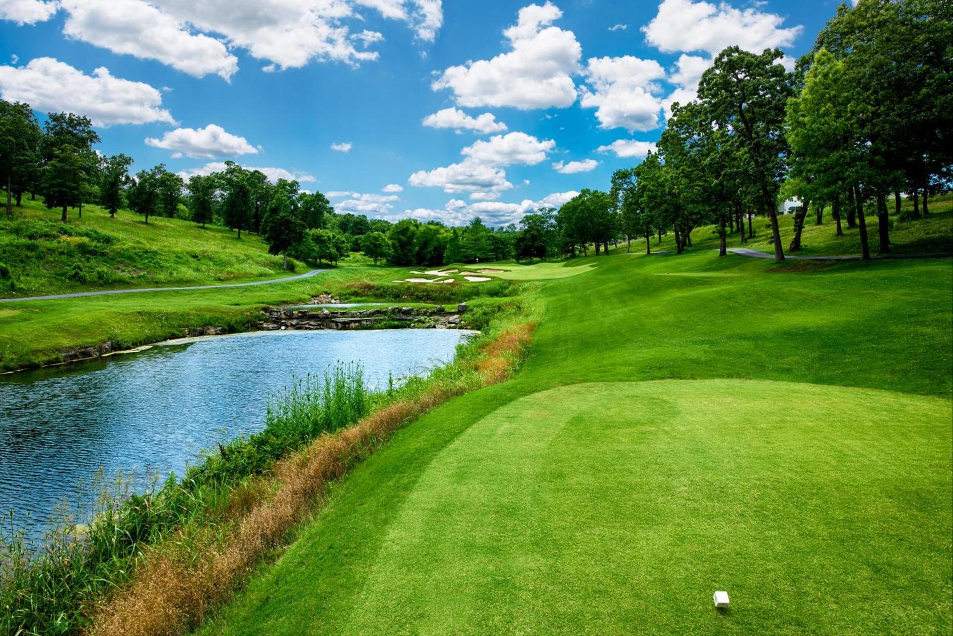 Links at Thousand Hills photo 9